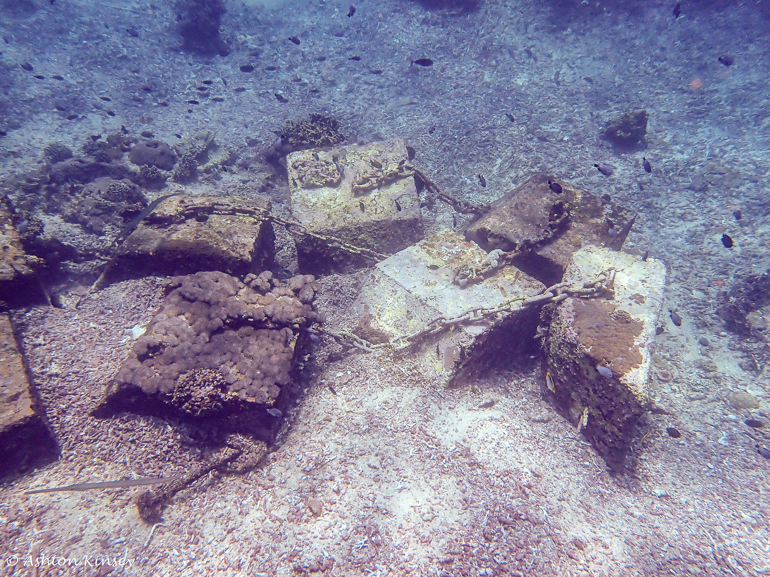 Bay and Wall .jpg
