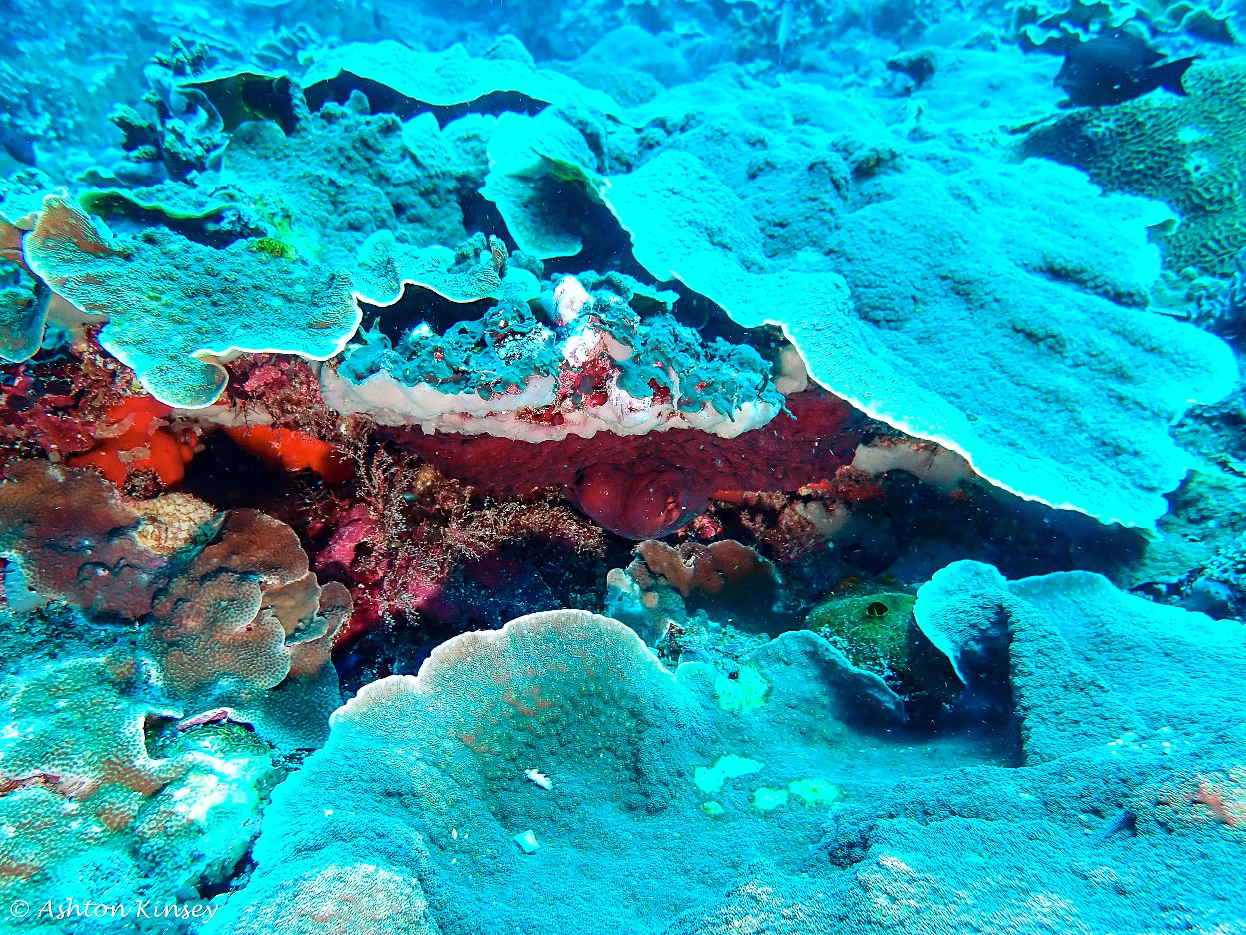 Bay and Wall -3.jpg