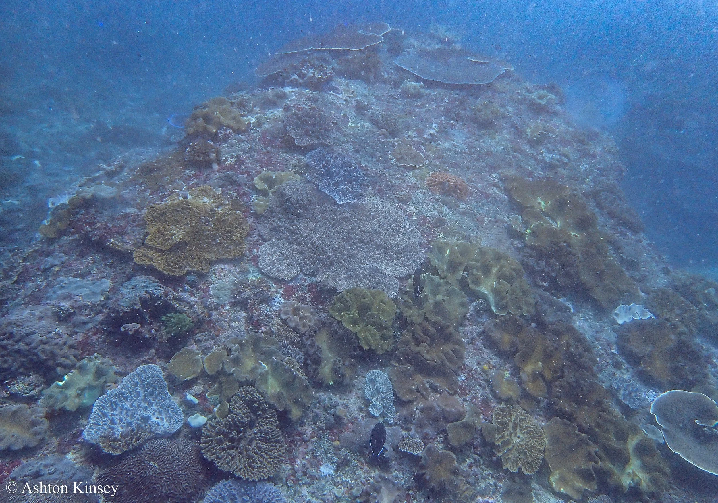 Manta Bay.jpg