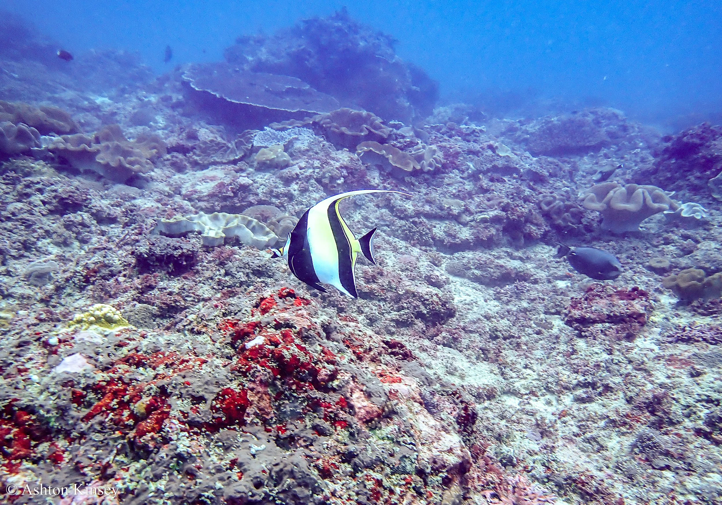Manta Bay-14.jpg