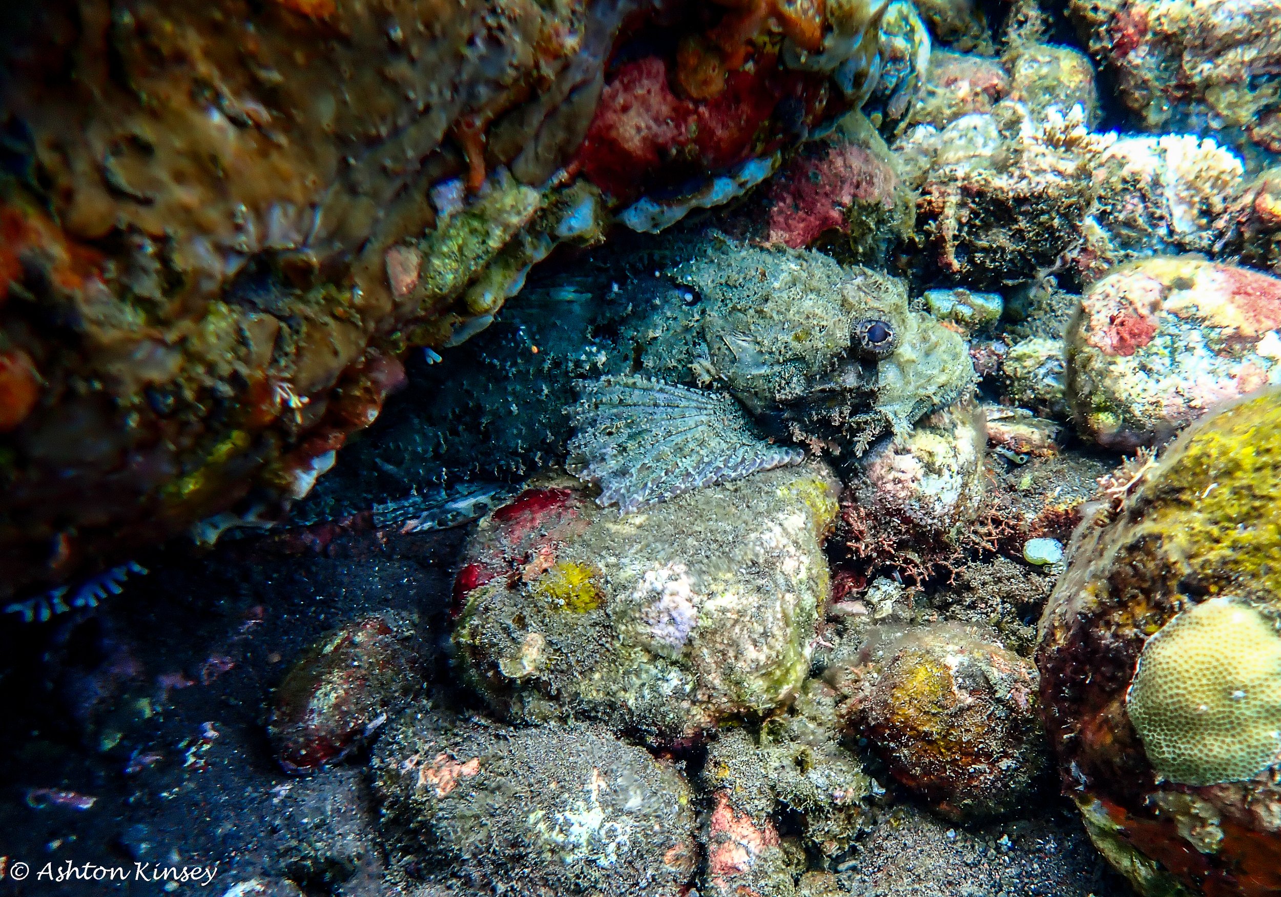 Secret Bay-1.jpg