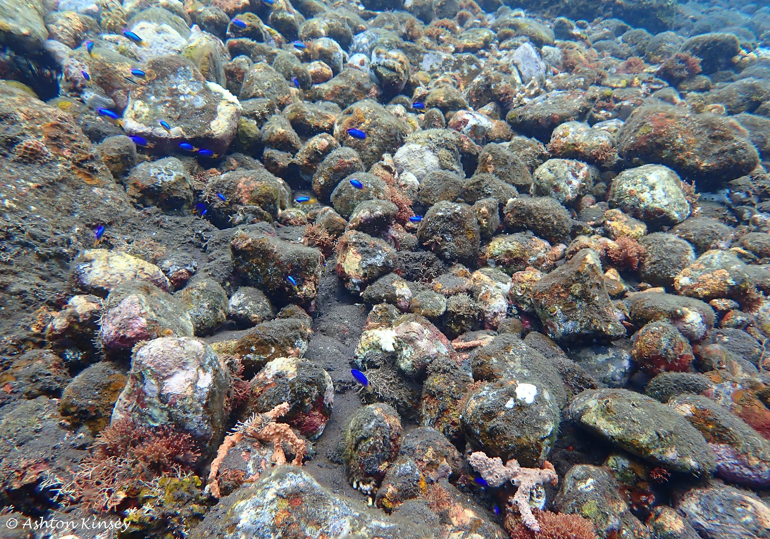 Secret Bay.jpg