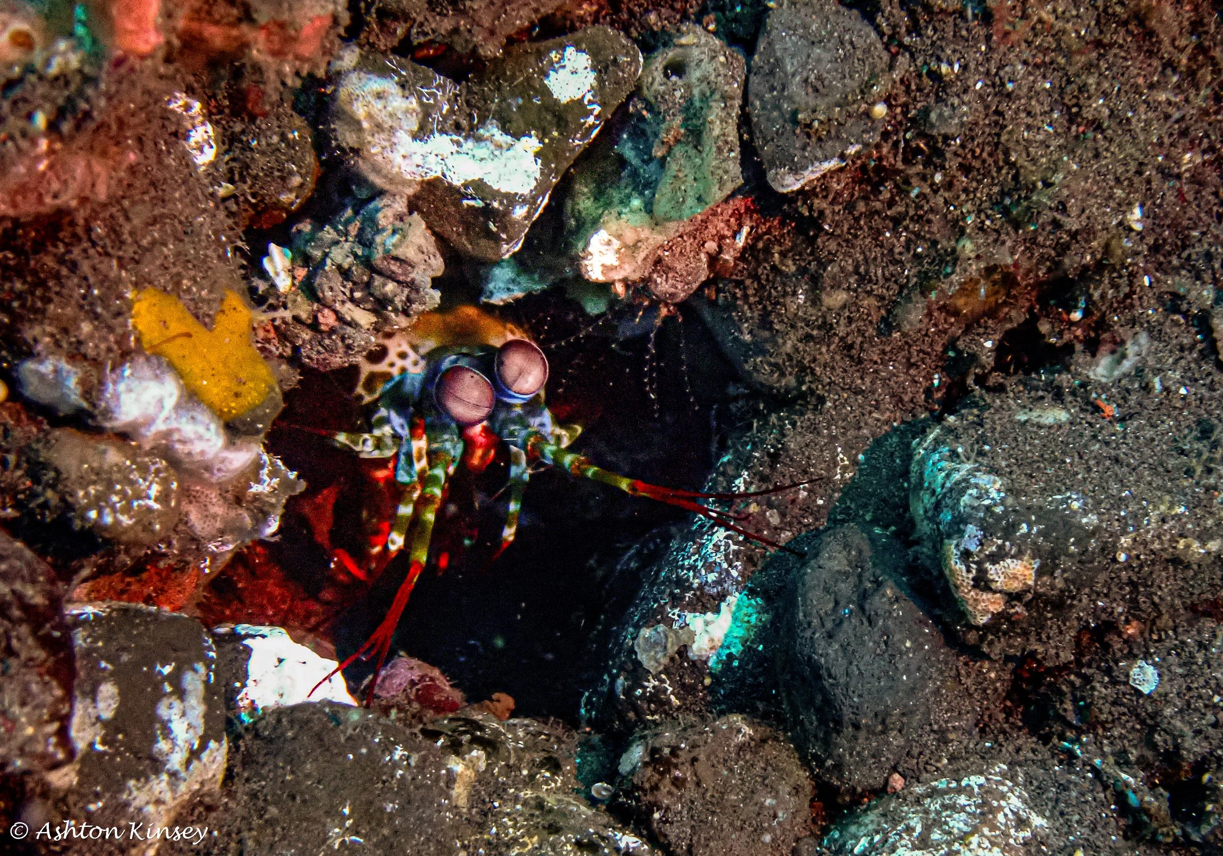 Secret Bay-9.jpg