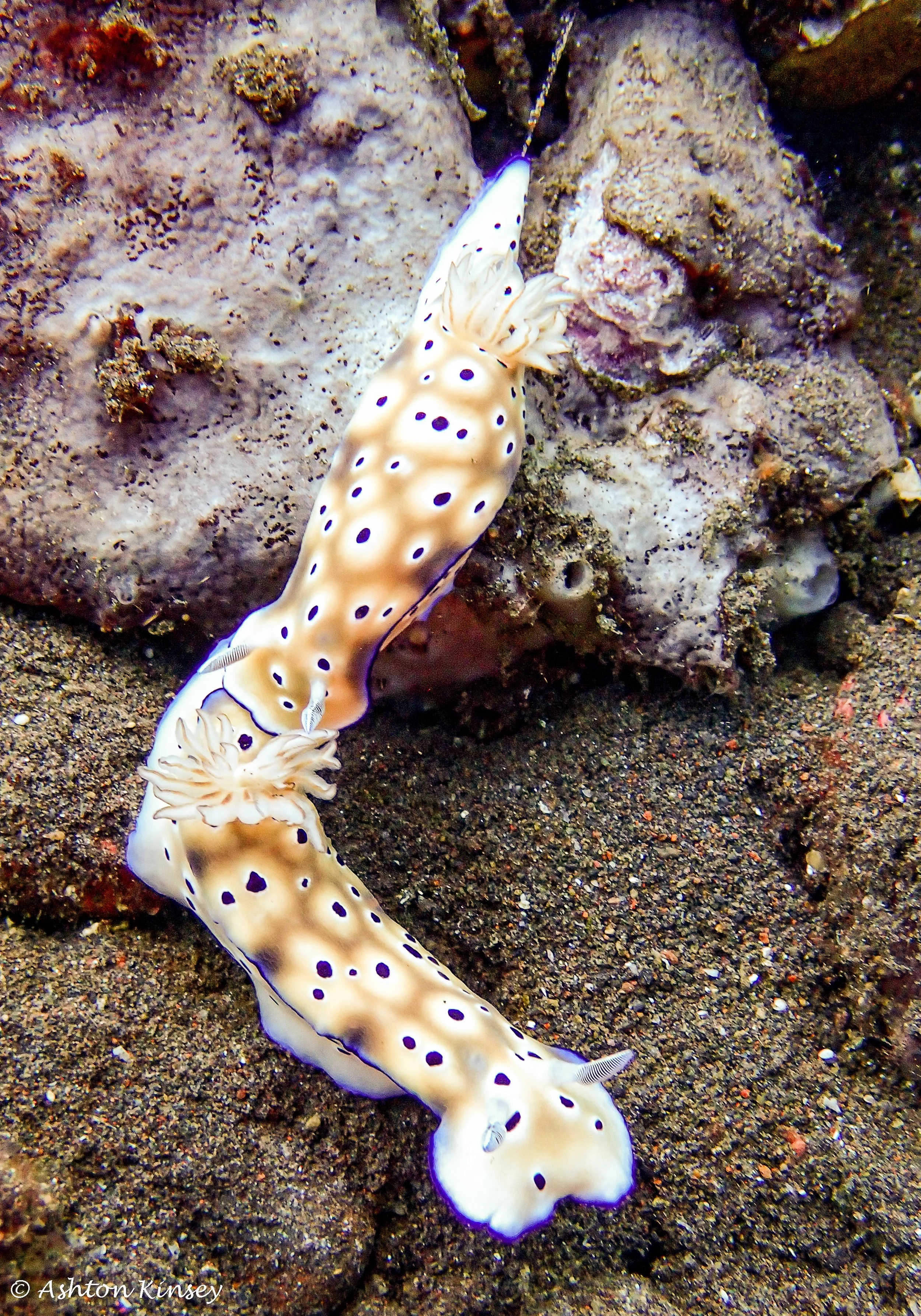 Secret Bay-15.jpg