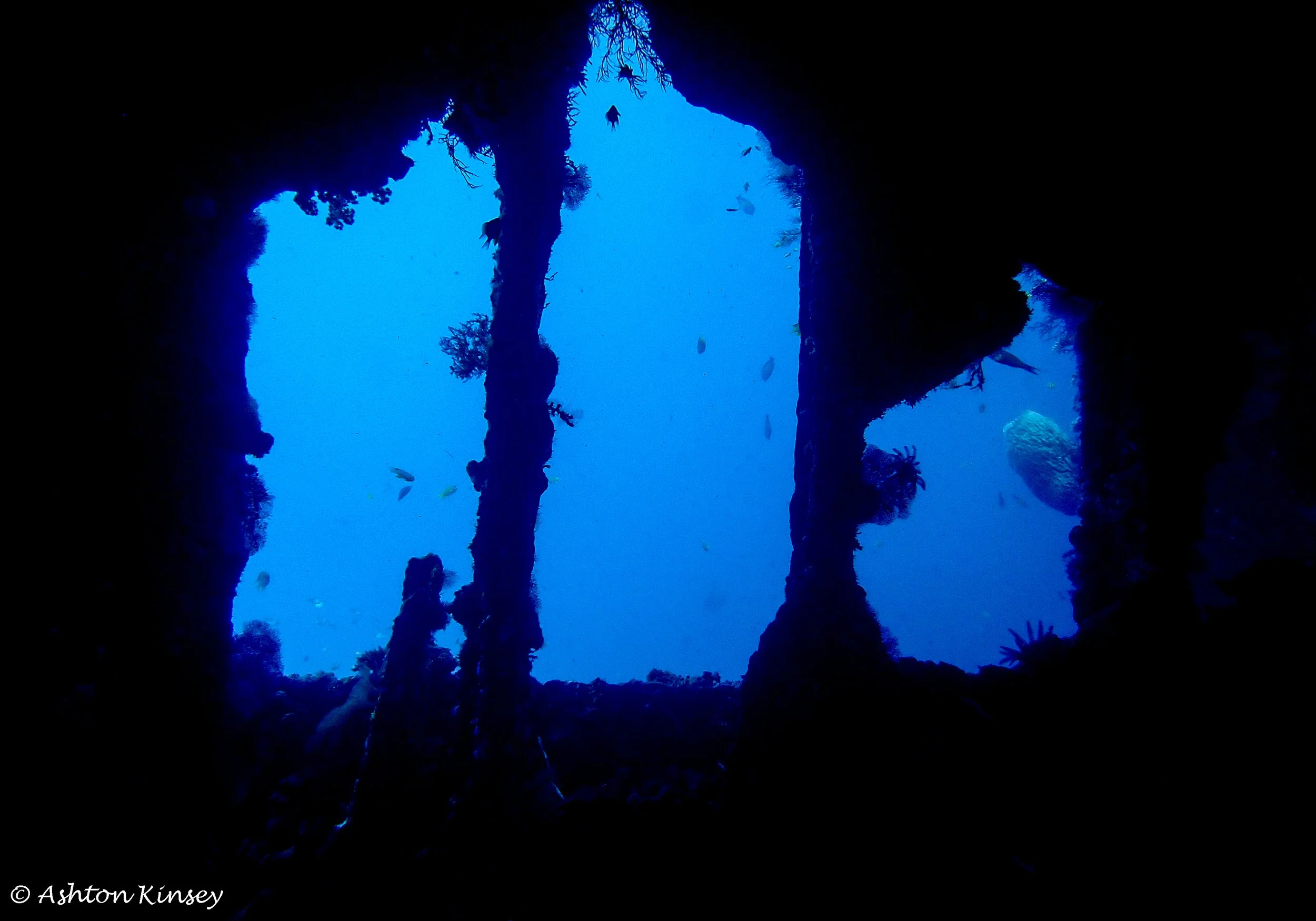 USAT Liberty Wreck-2.jpg