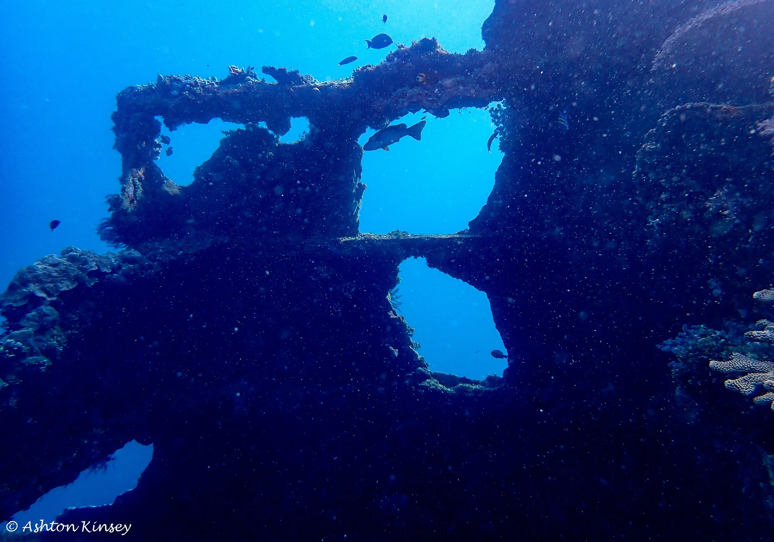 USAT Liberty Wreck-4.jpg