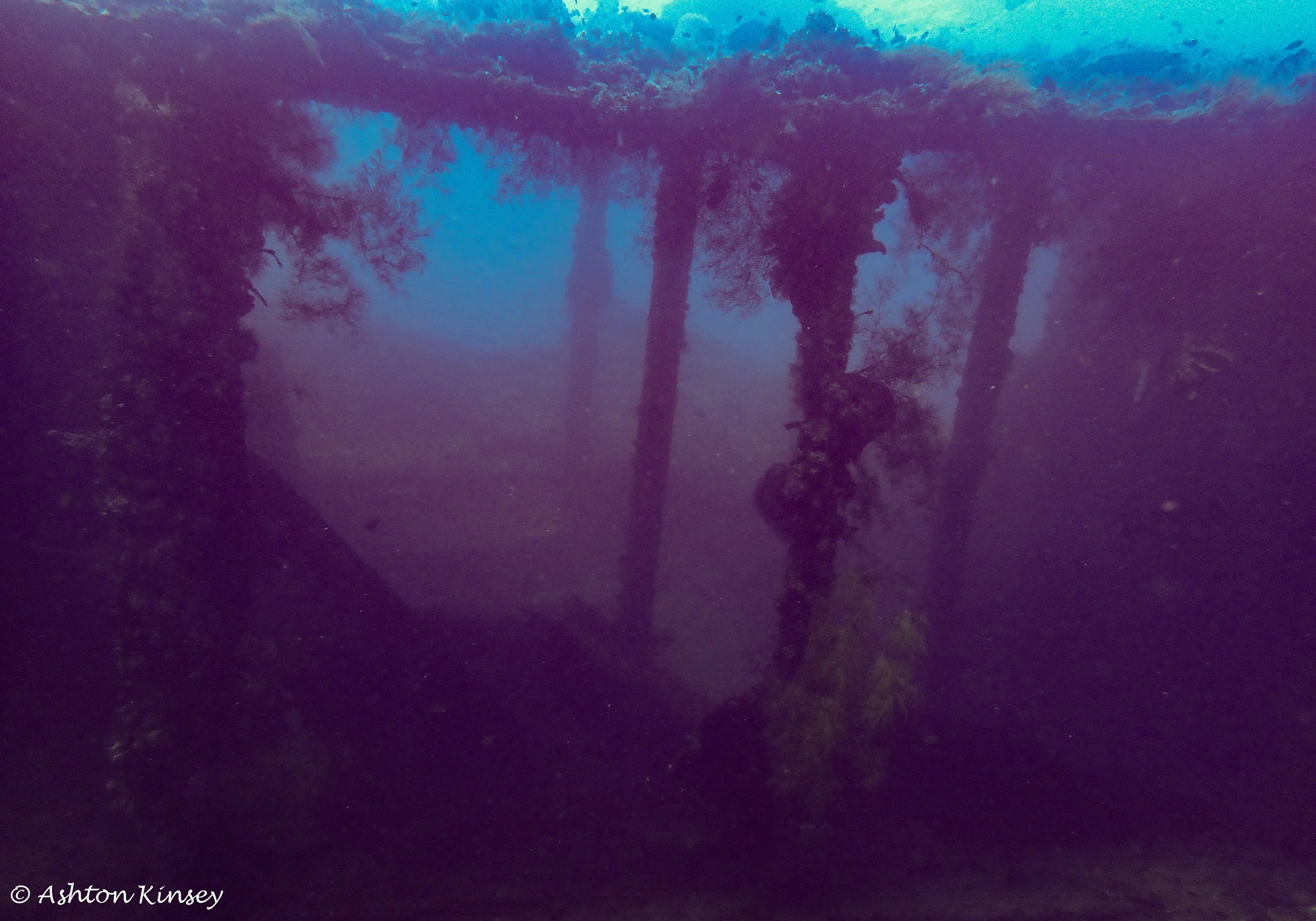 USAT Liberty Wreck-9.jpg
