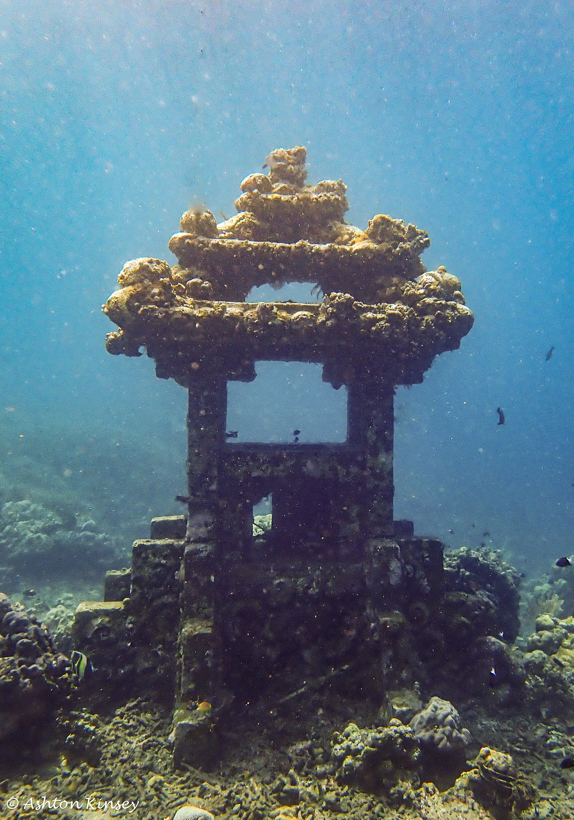 Amed Drop Off-10.jpg