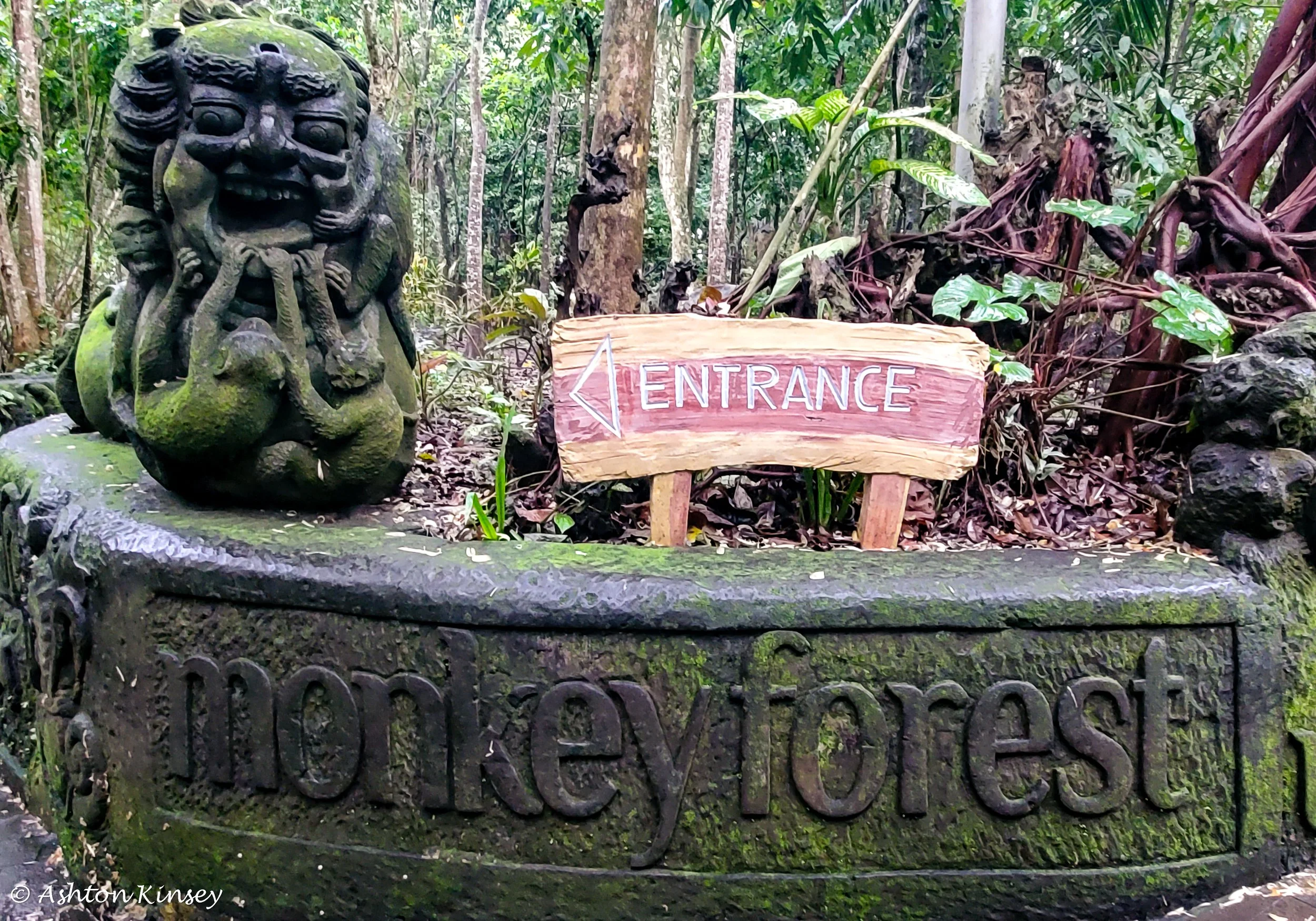 Monkey Forest-0.jpg
