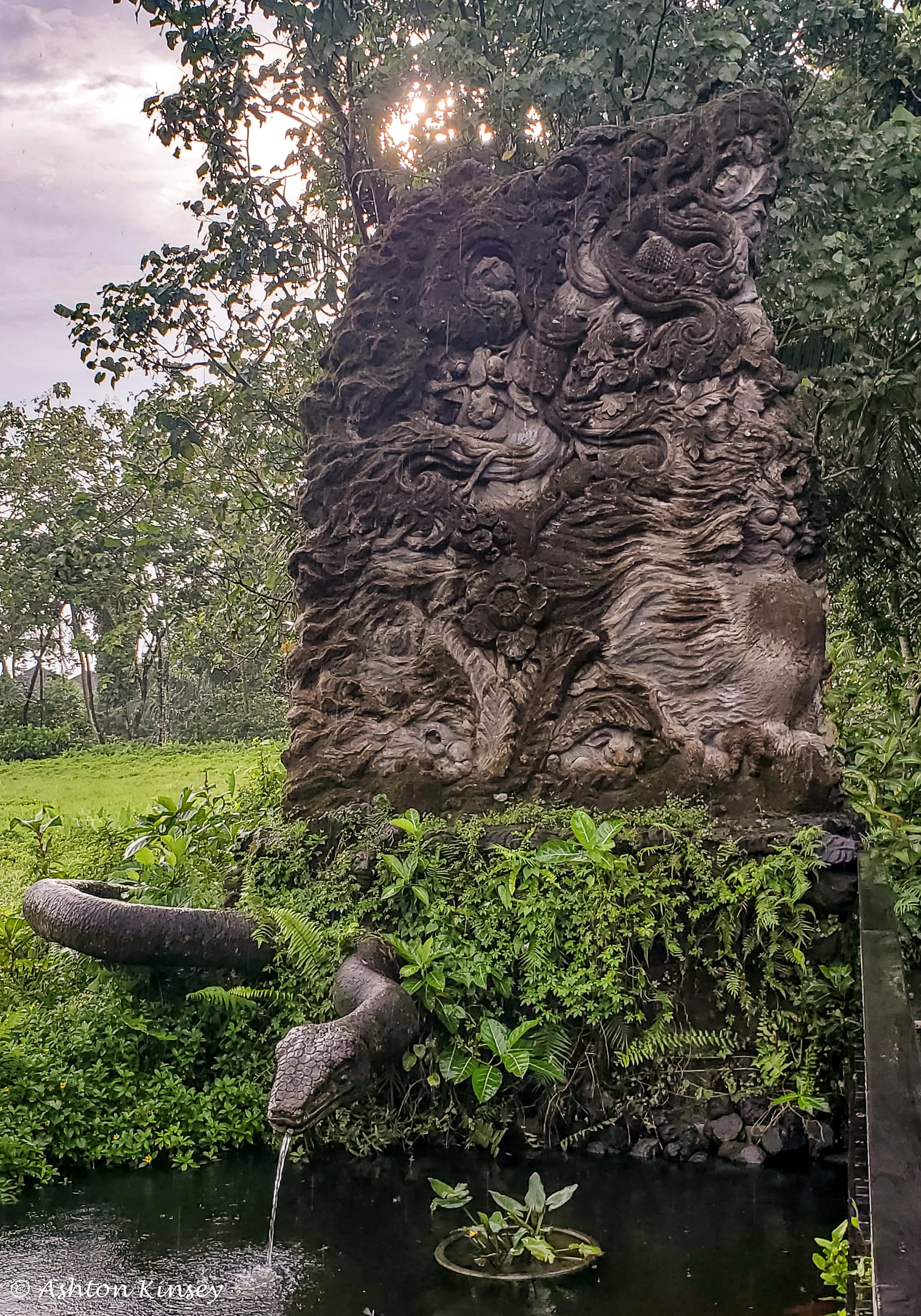 Monkey Forest-1.jpg