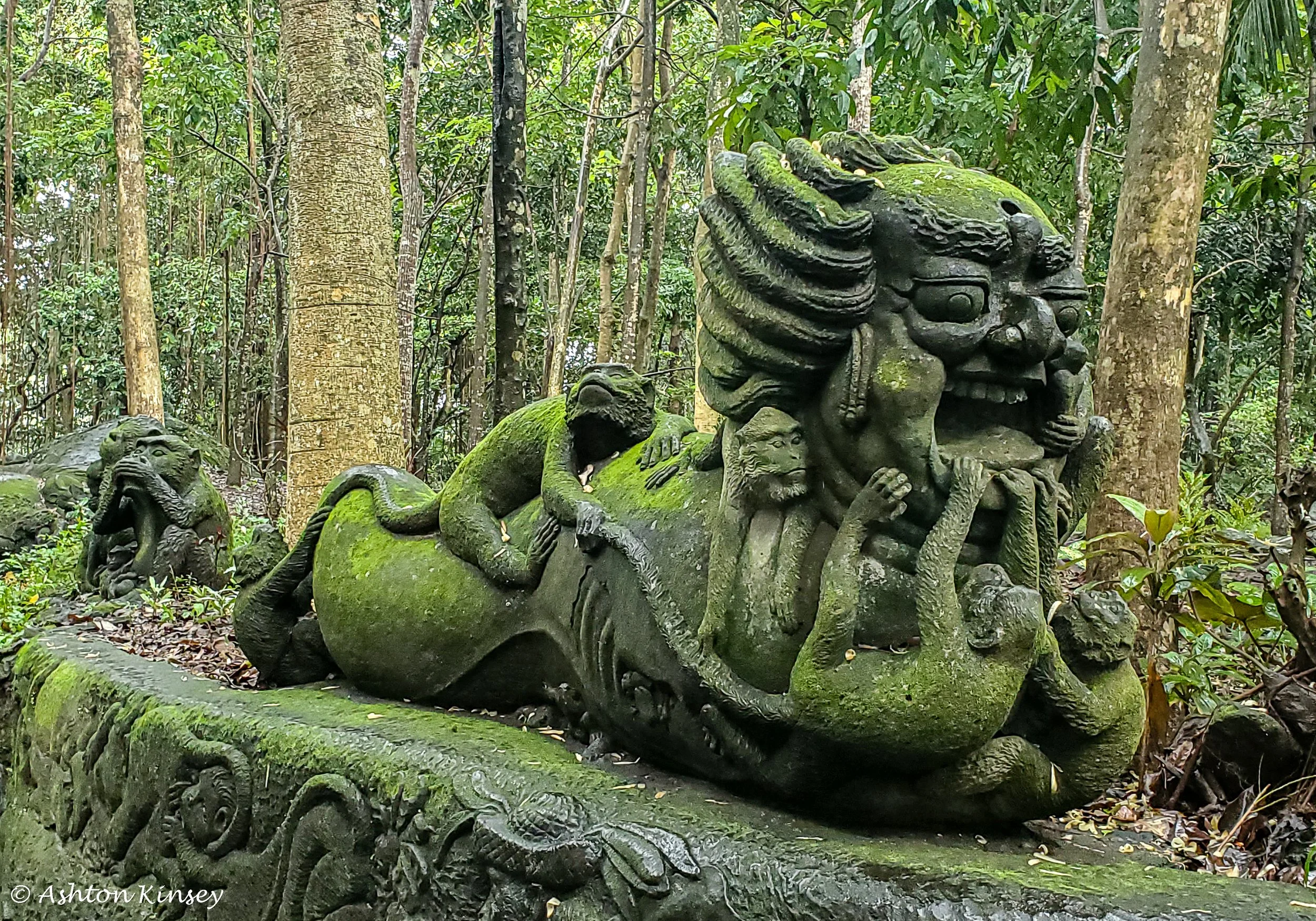 Monkey Forest-2.jpg