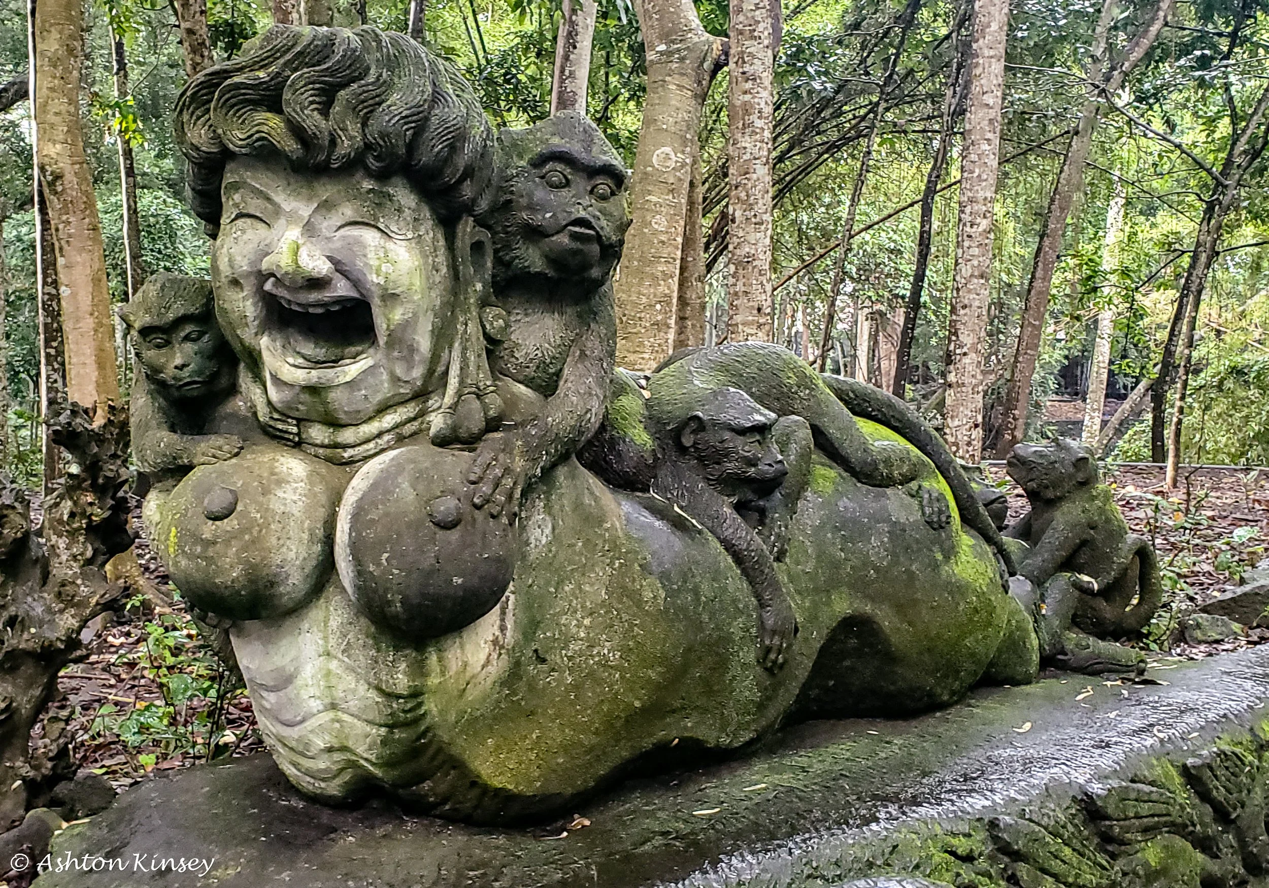 Monkey Forest-3.jpg
