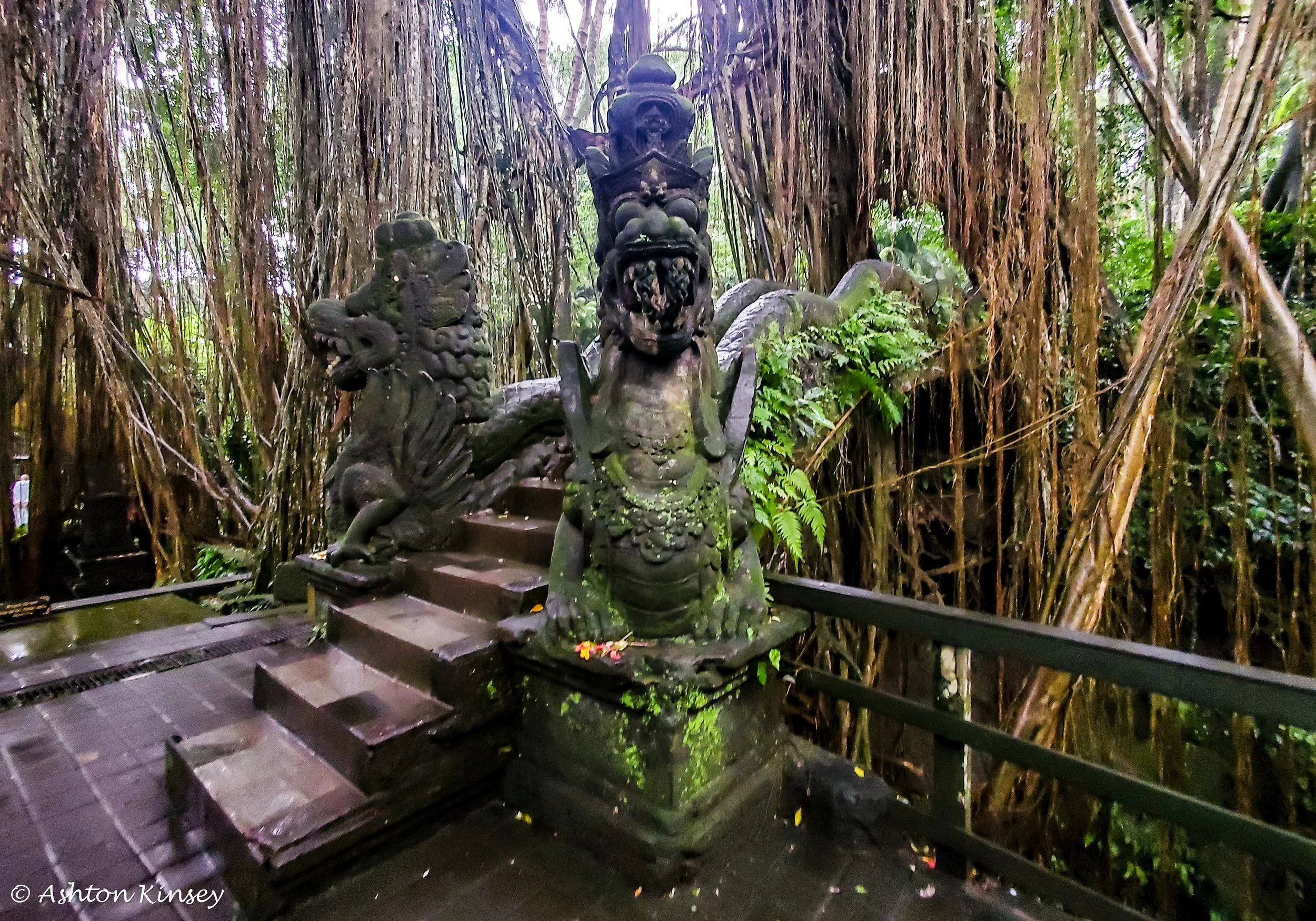 Monkey Forest-7.jpg
