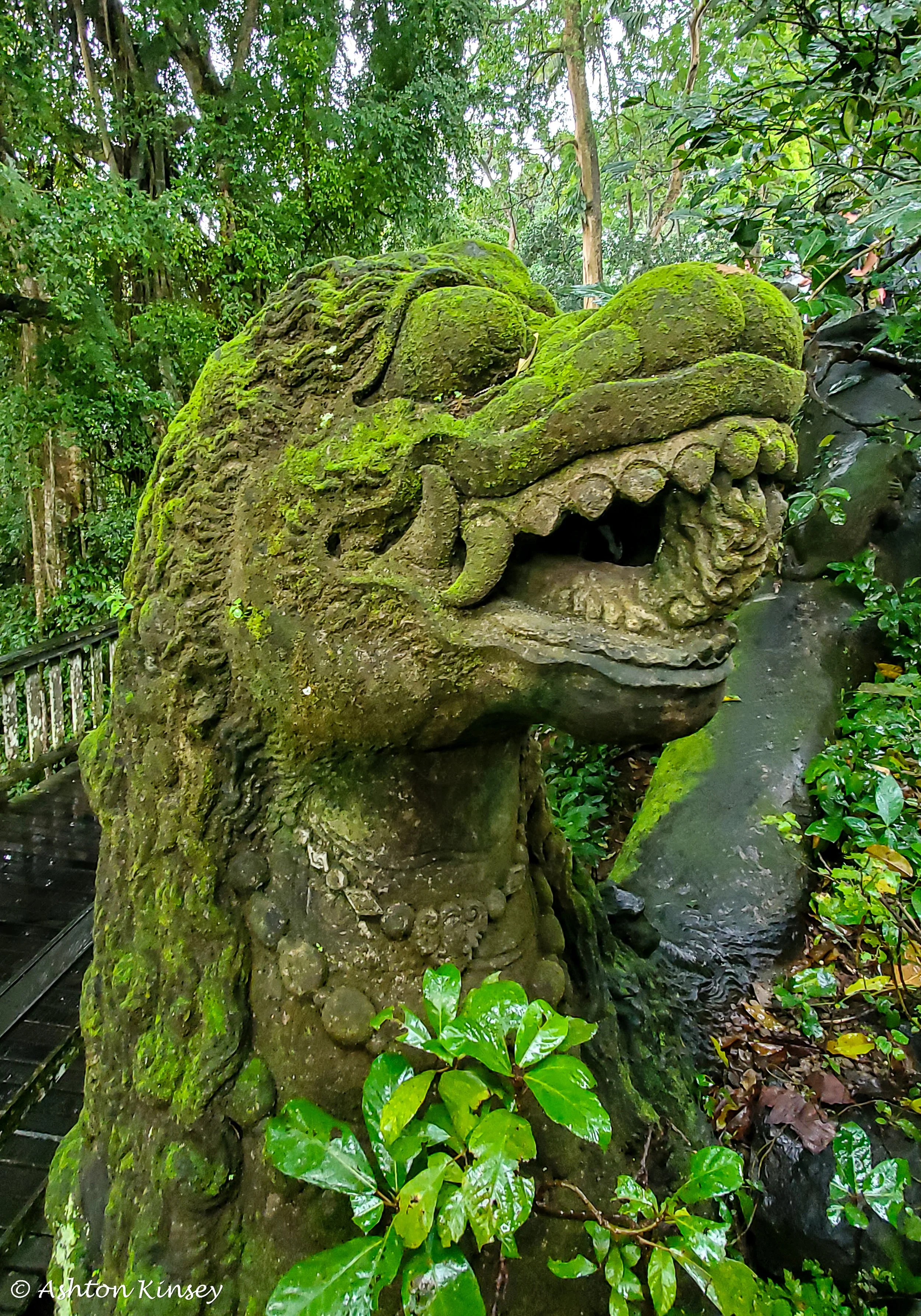 Monkey Forest-9.jpg