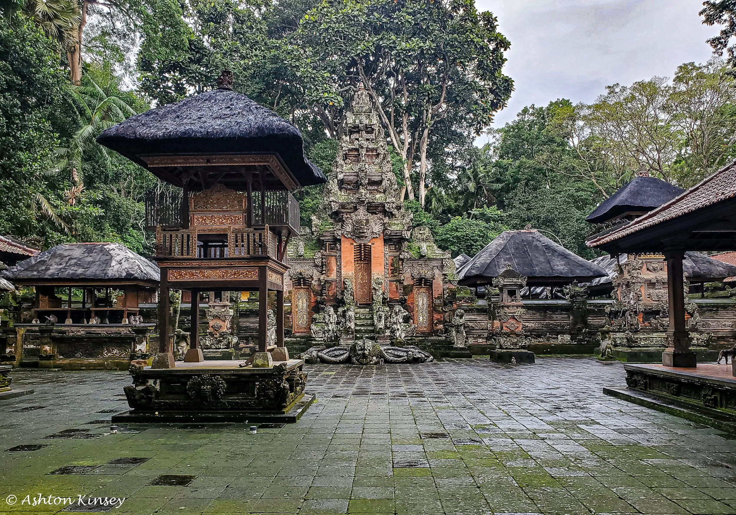 Monkey Forest-13.jpg