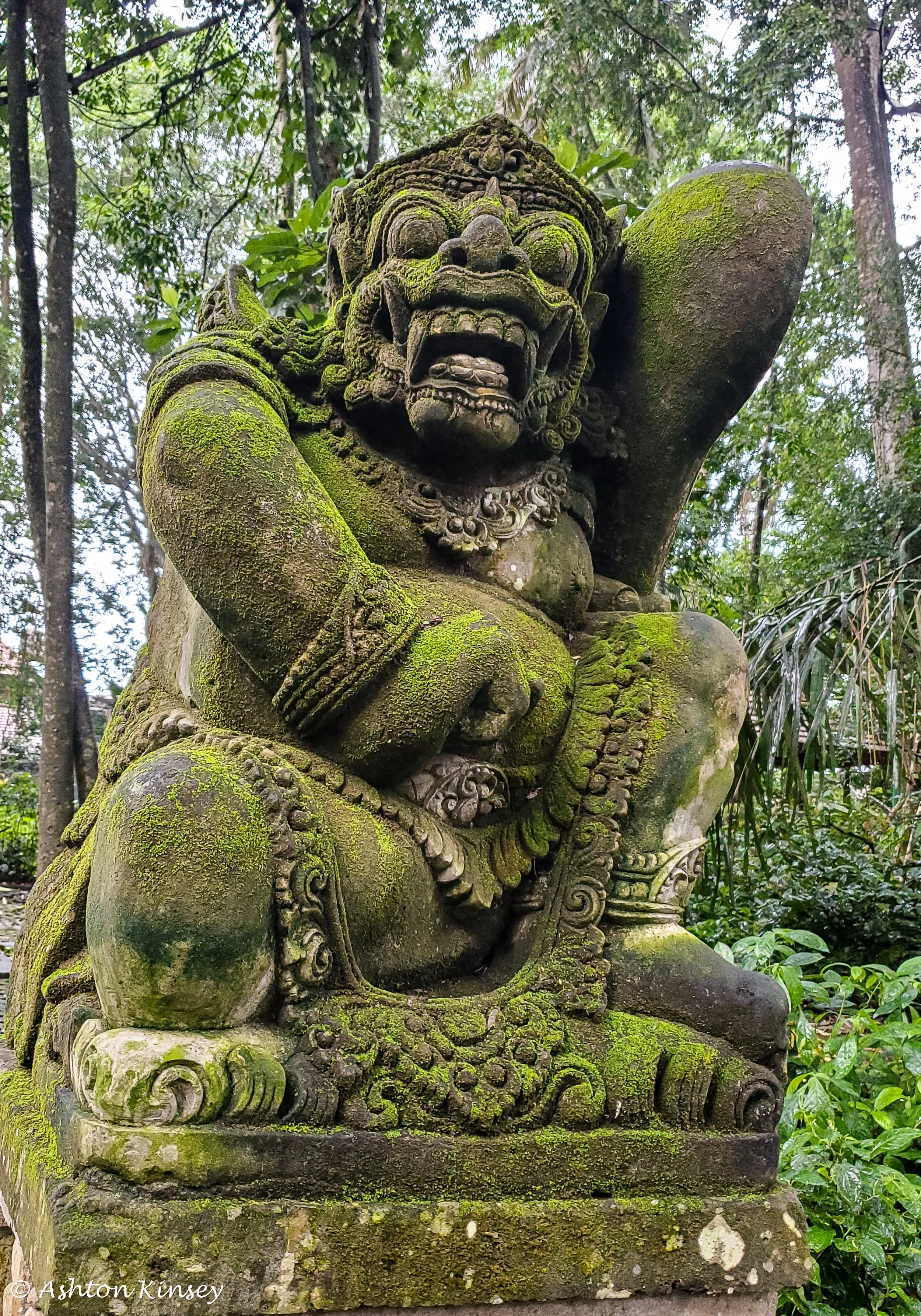 Monkey Forest-17.jpg