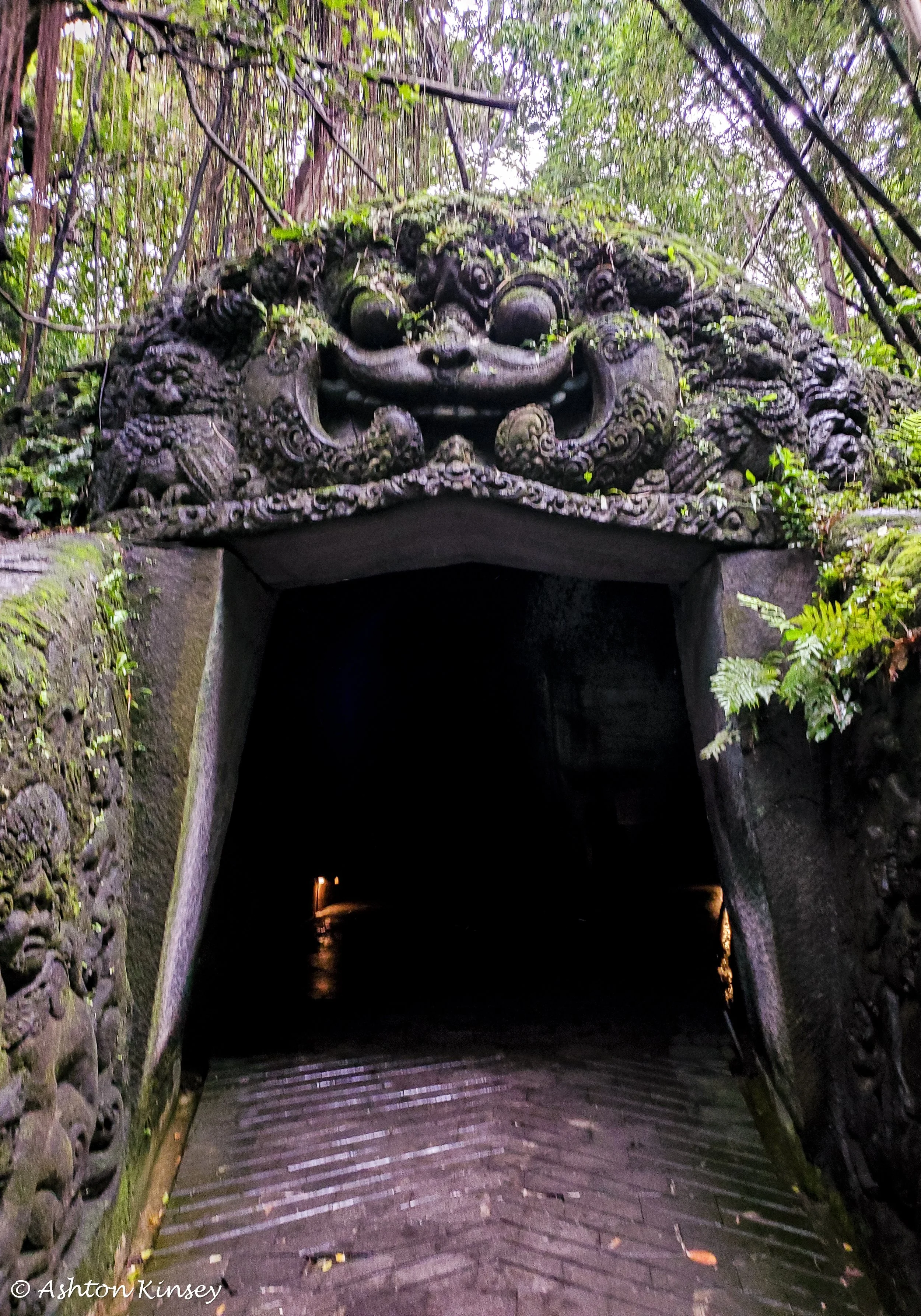 Monkey Forest-22.jpg
