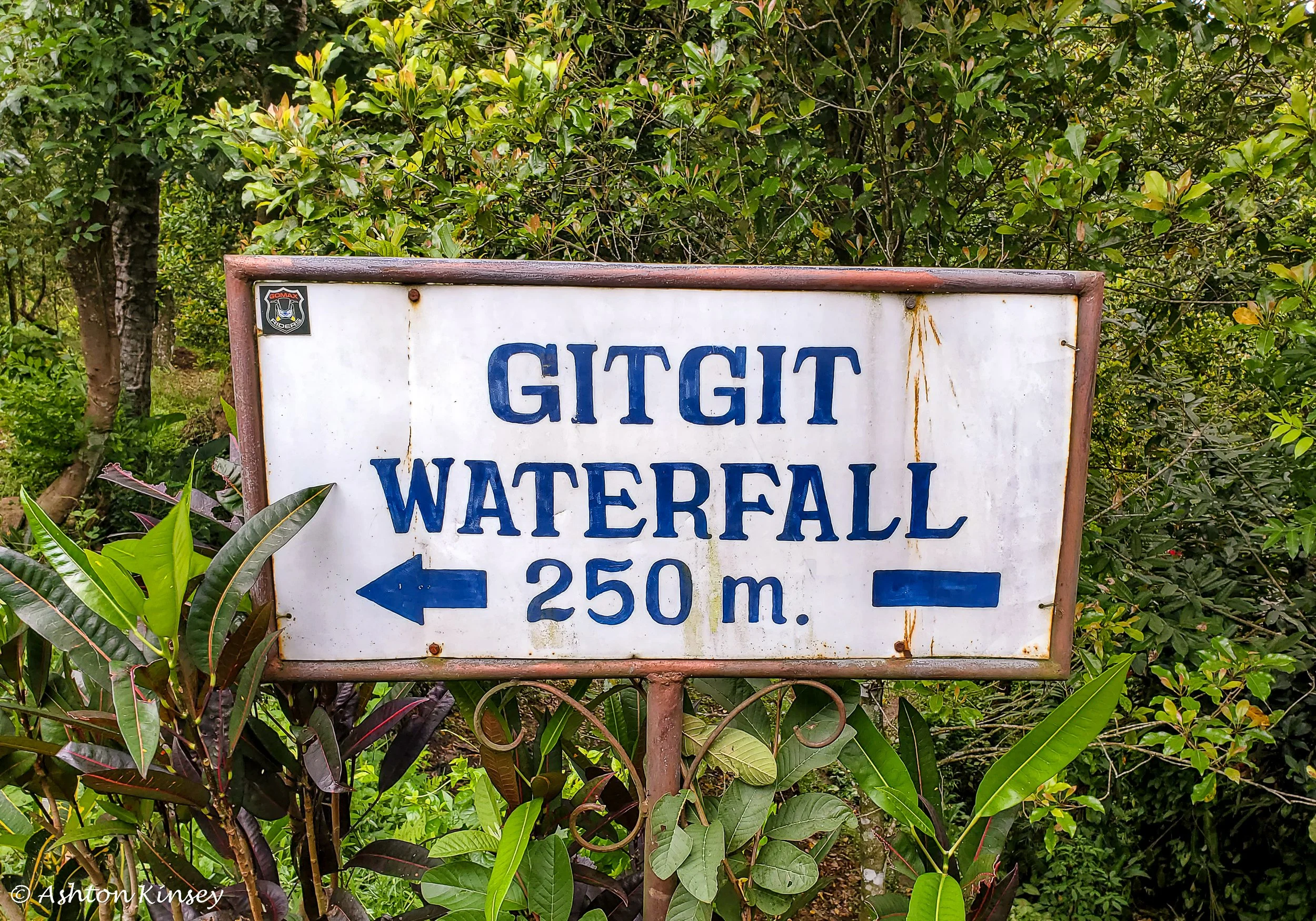 GitGit-6.jpg