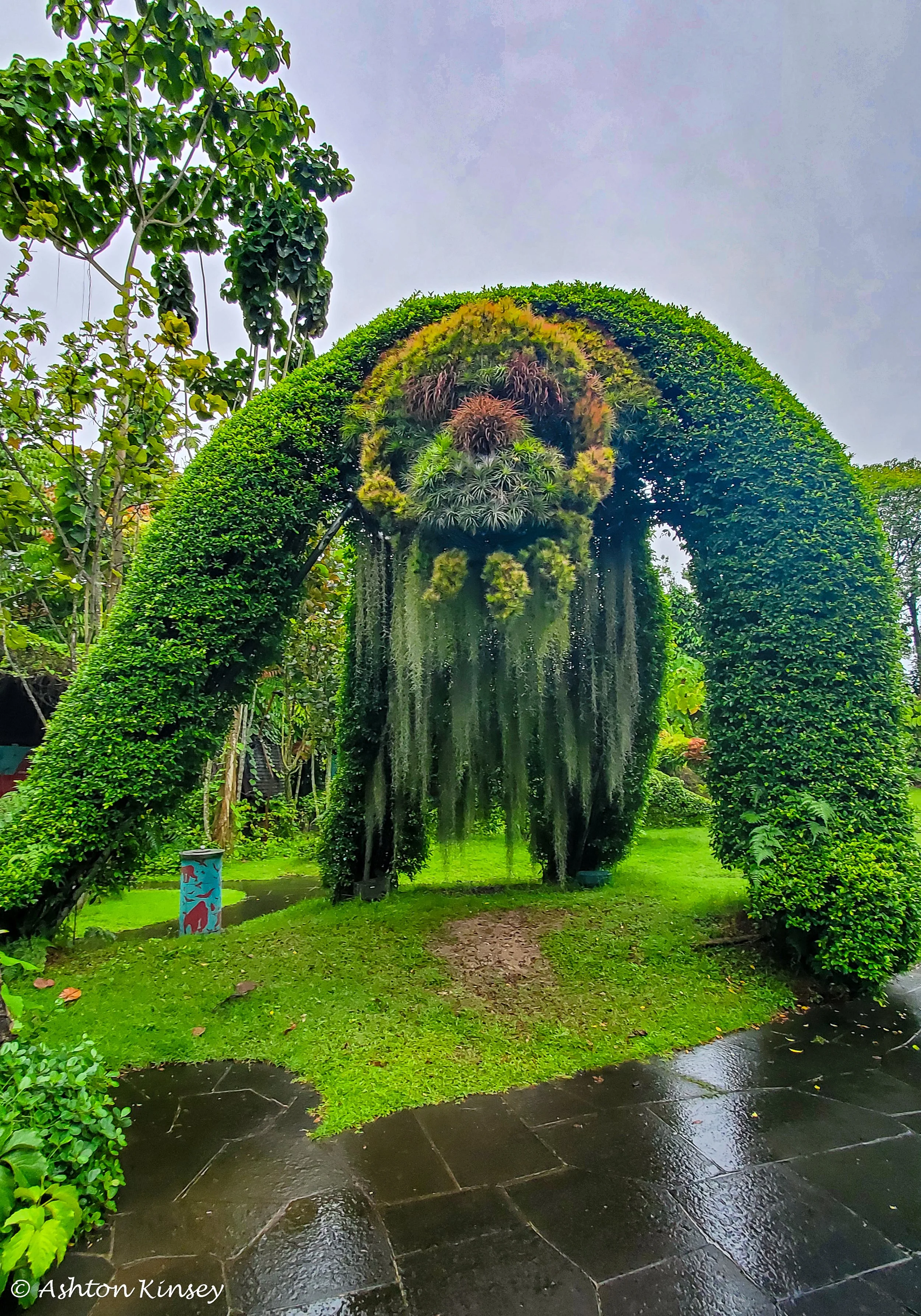 Singapore-3.jpg