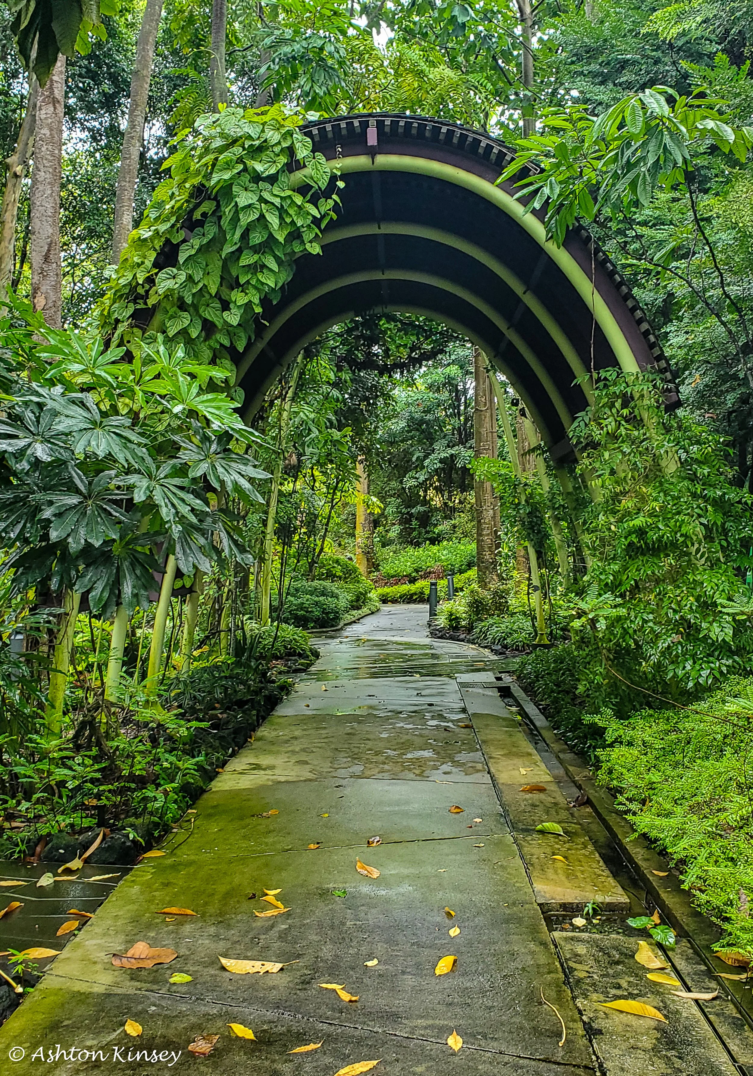Singapore-4.jpg