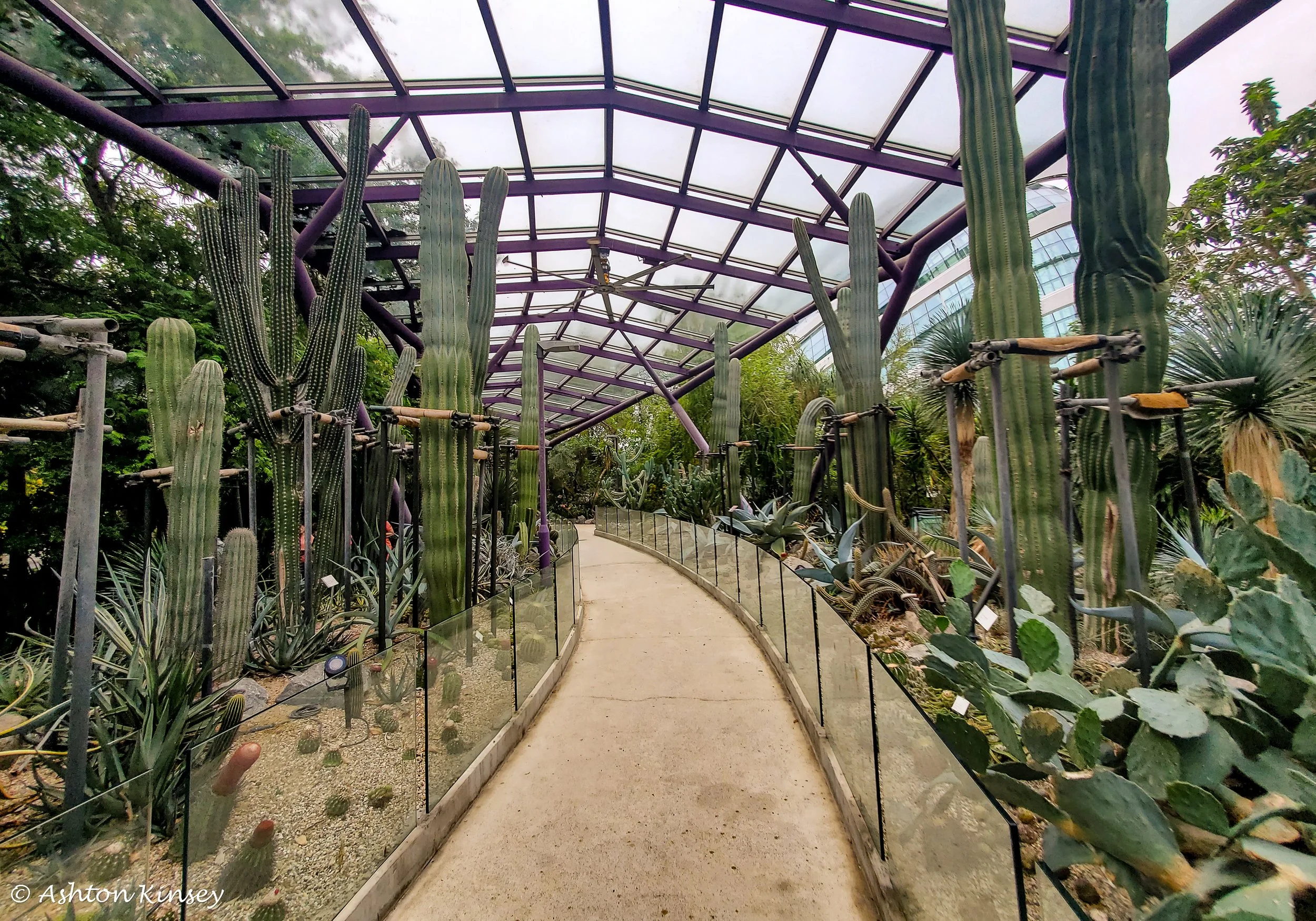 Singapore-5.jpg