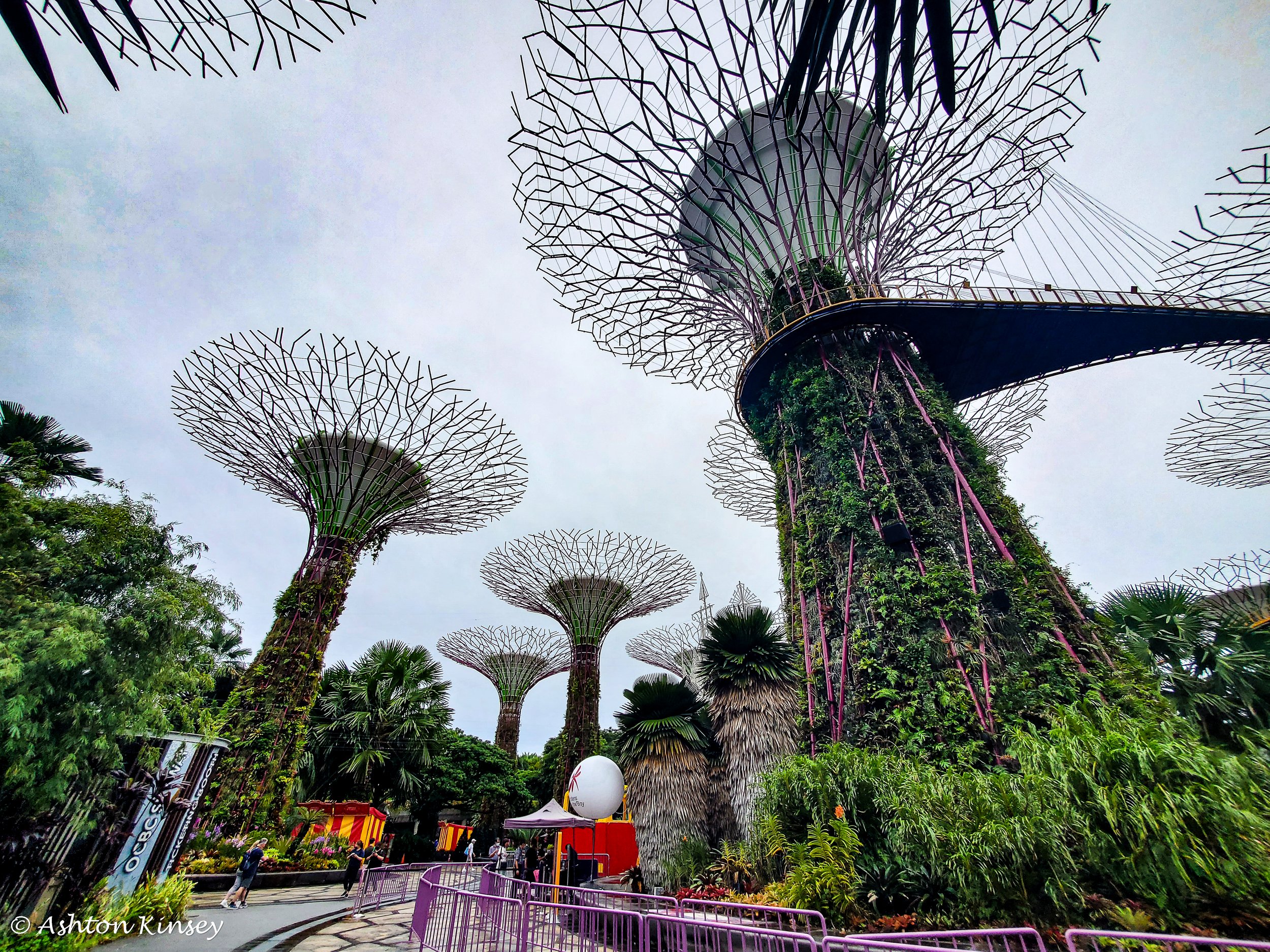 Singapore-6.jpg