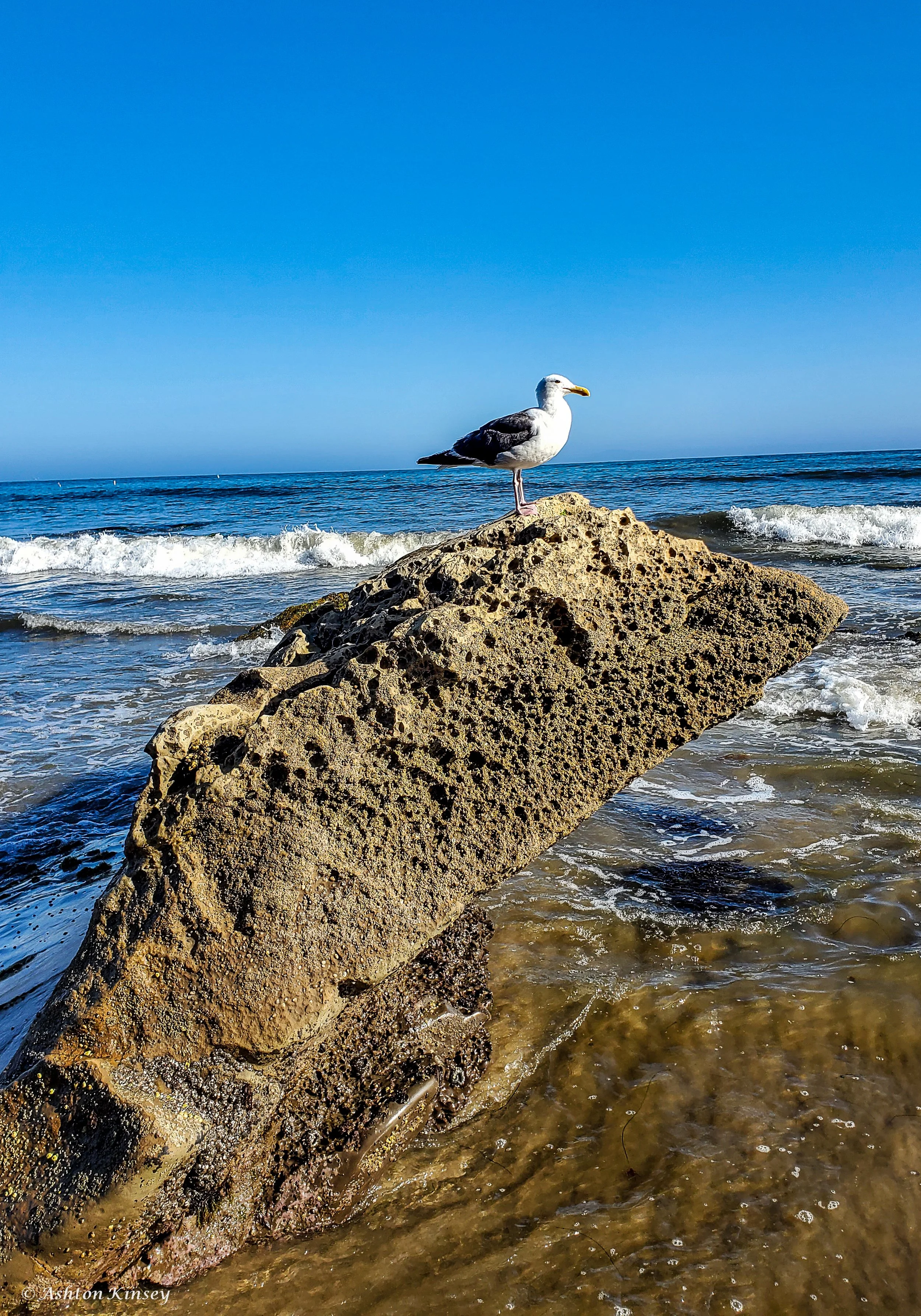 CaliBound-6.jpg