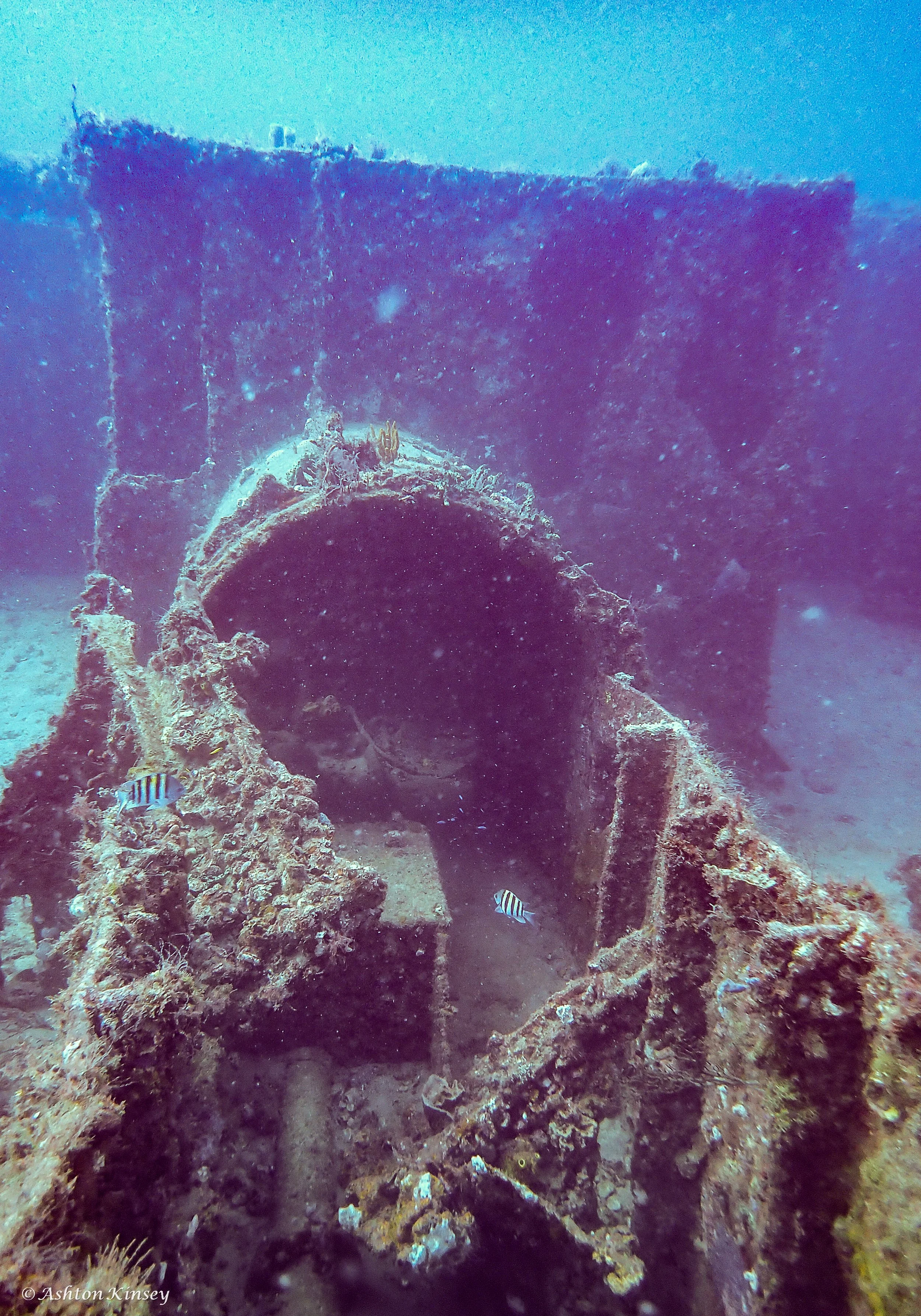 Wreck Corridor.jpg