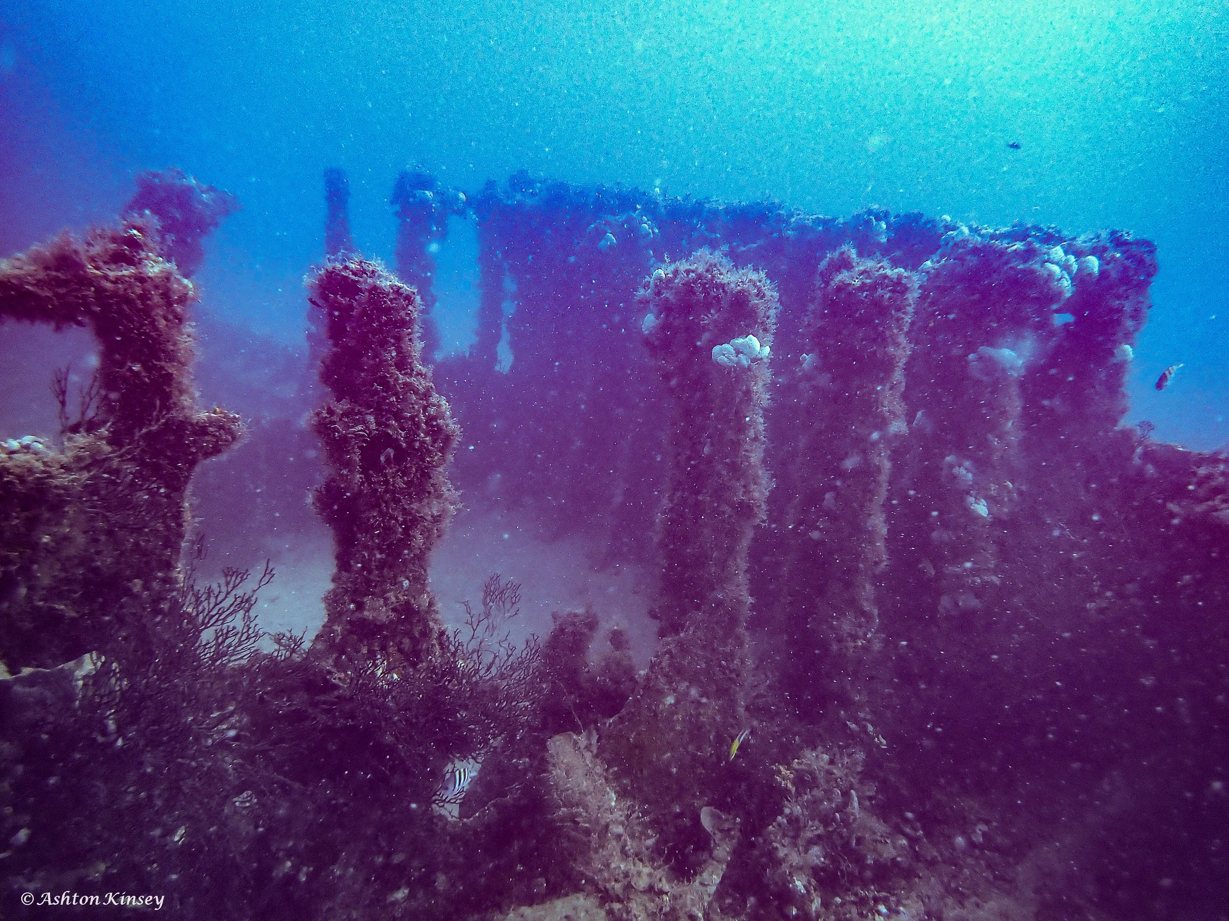 Wreck Corridor-1.jpg