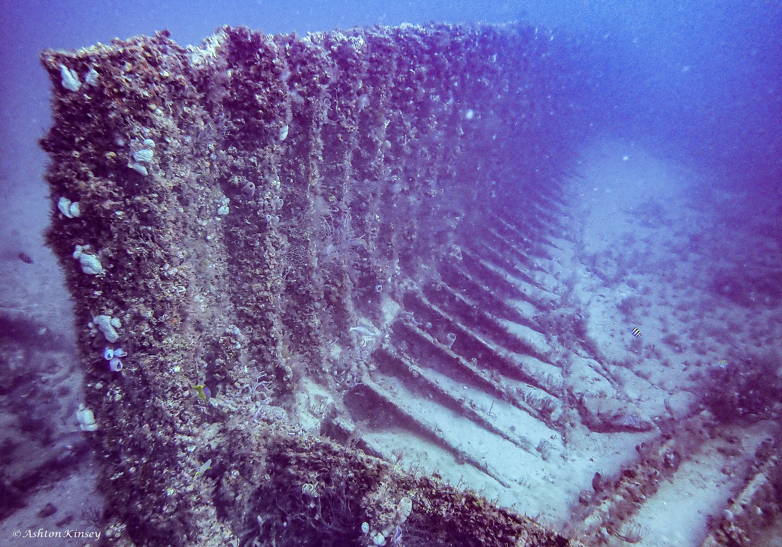 Wreck Corridor-3.jpg