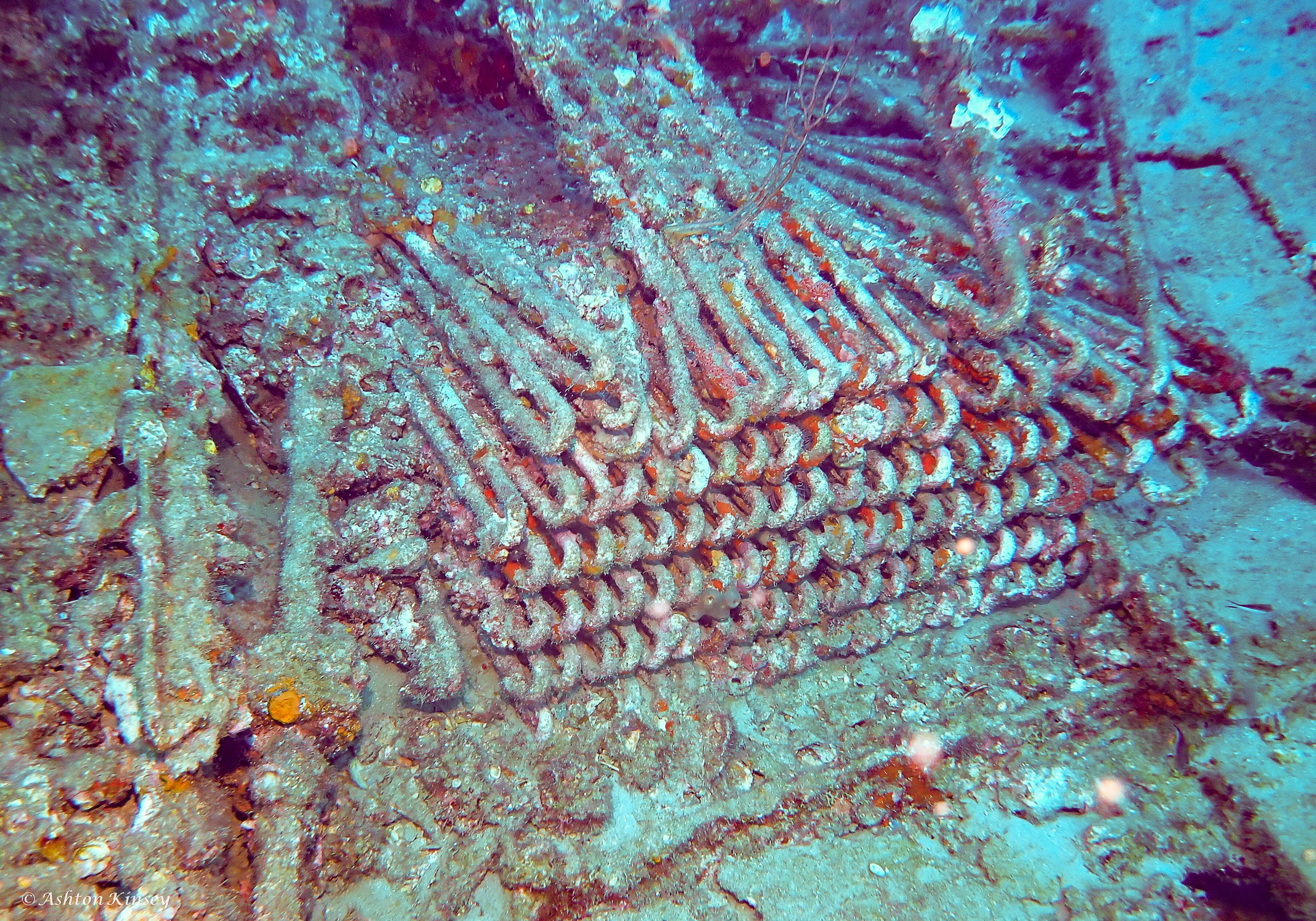 Wreck Corridor-6.jpg