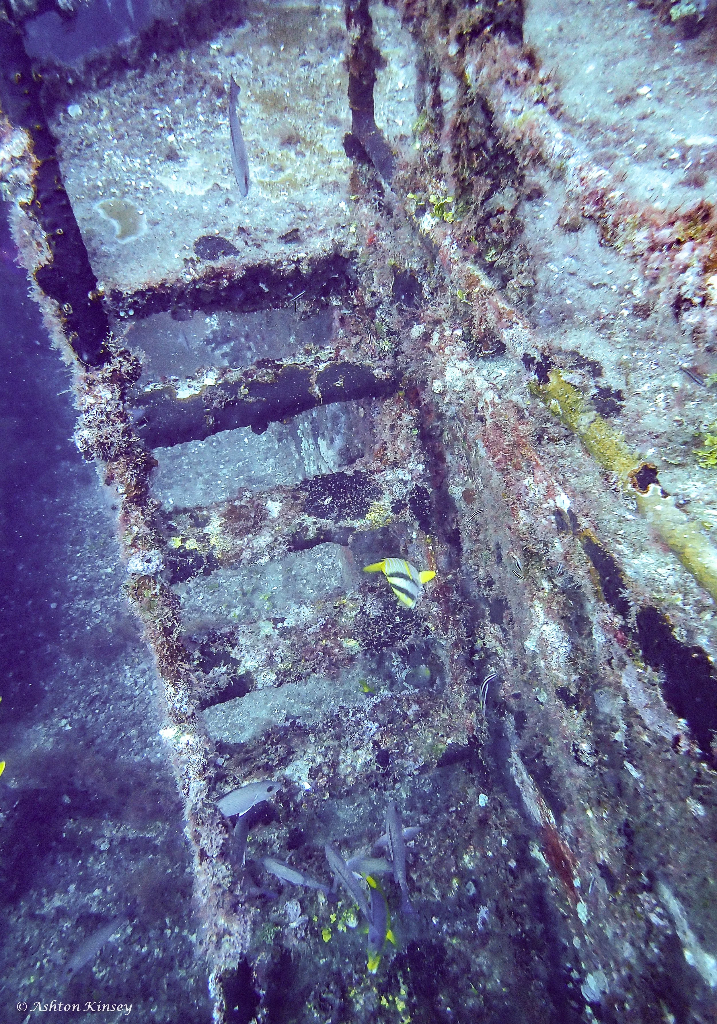 Wreck Corridor-16.jpg