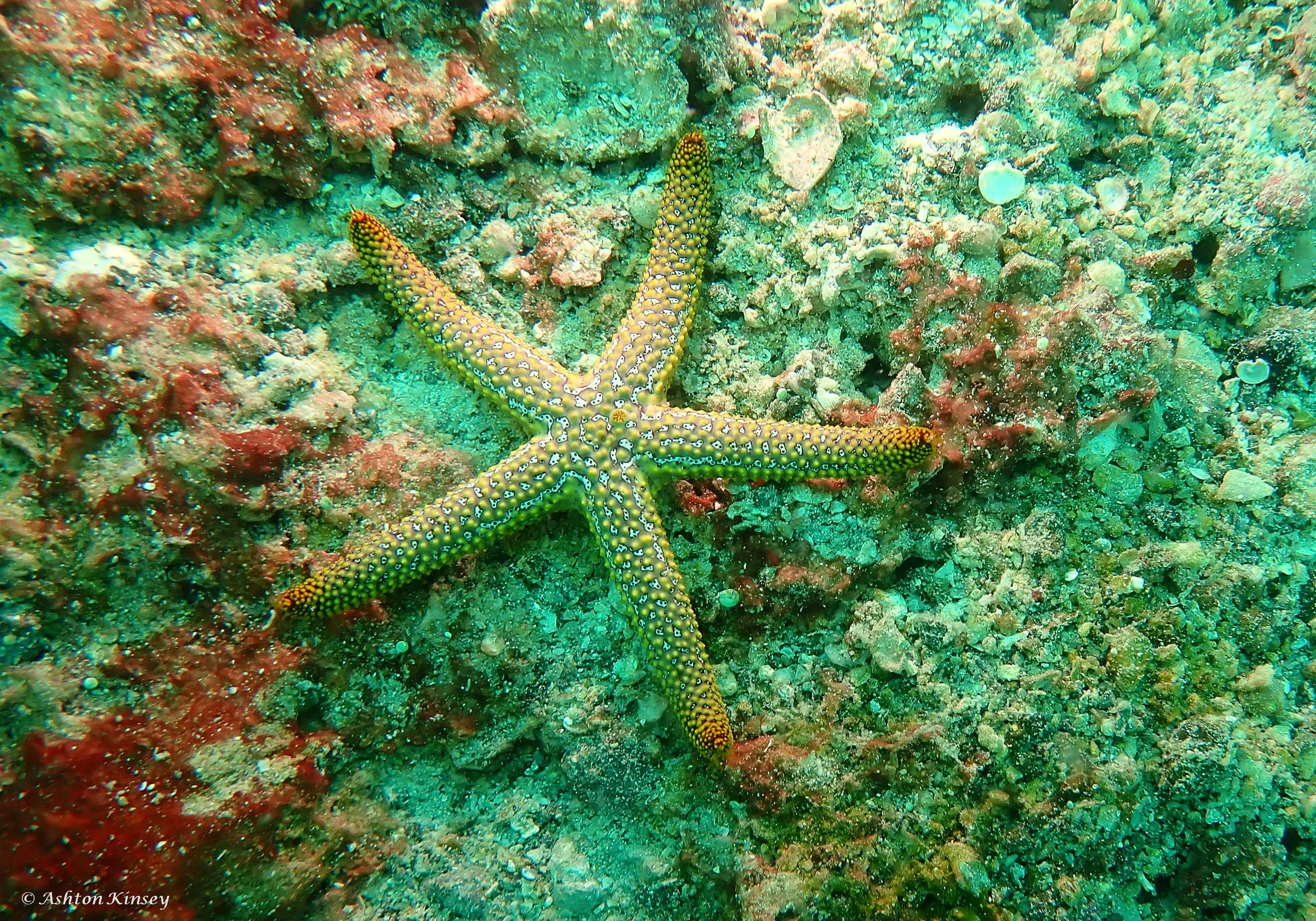 Circle of Heros-2.jpg