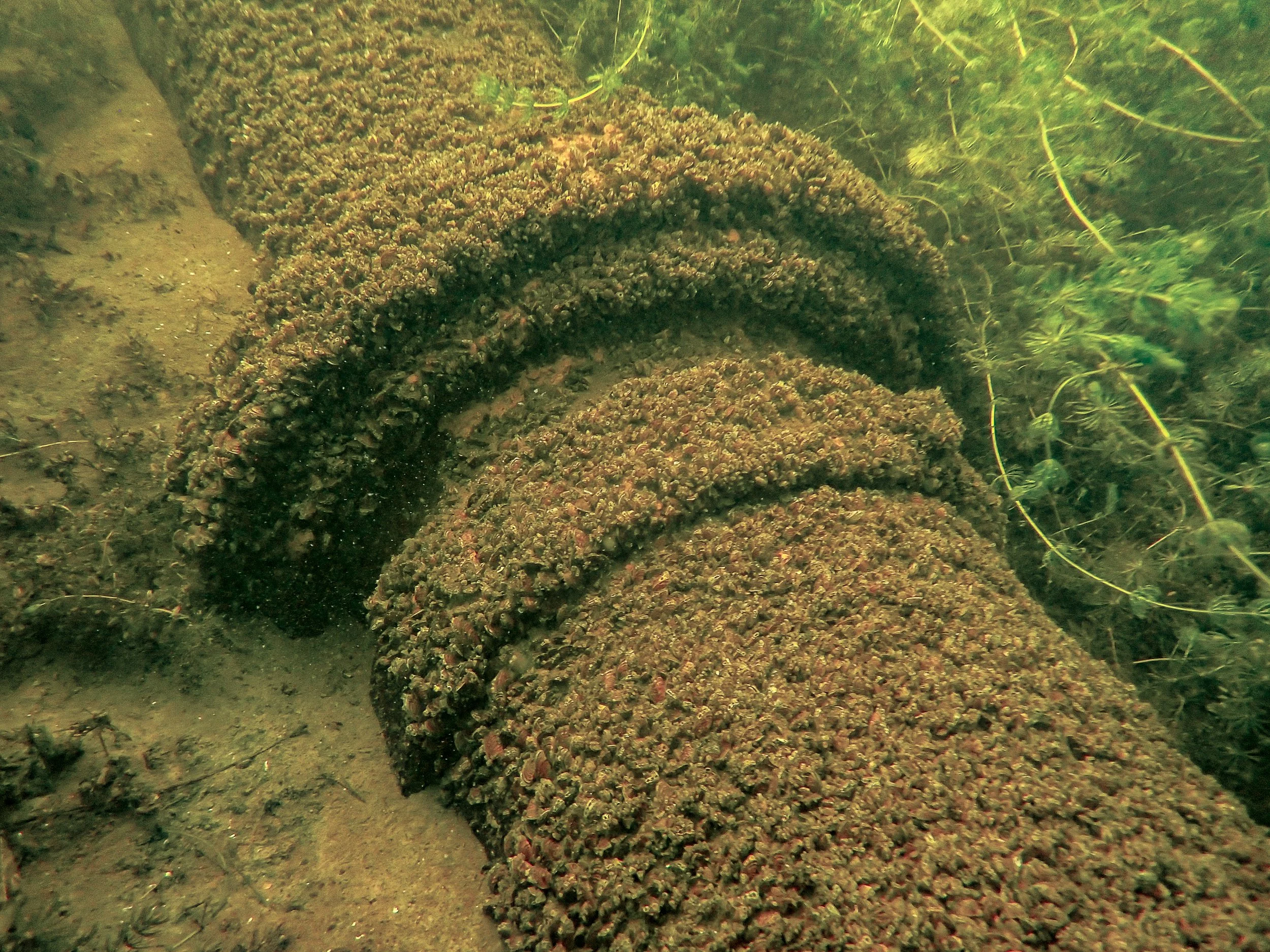 Lake Okoboji-3.jpg