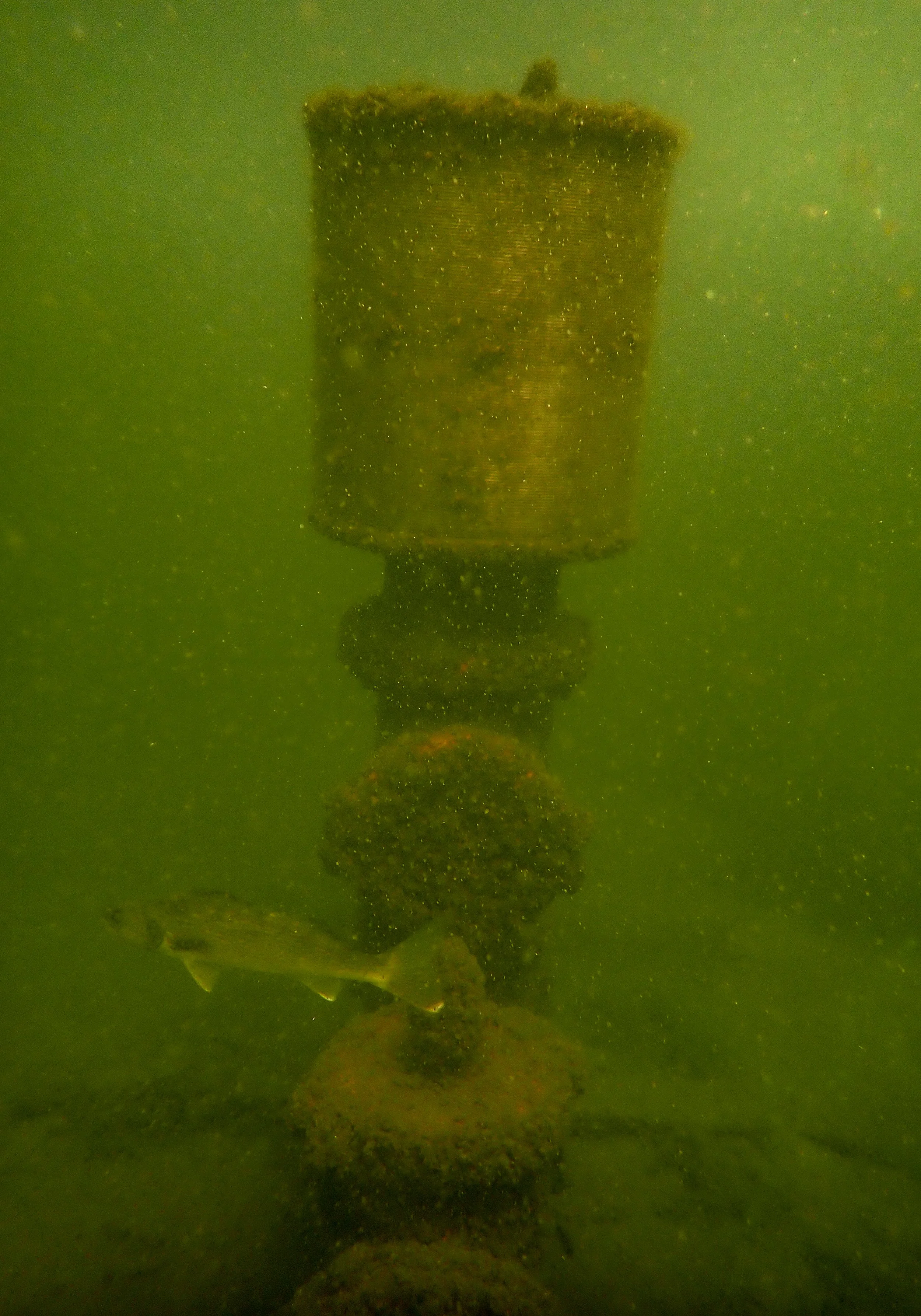 Lake Okoboji-5.jpg