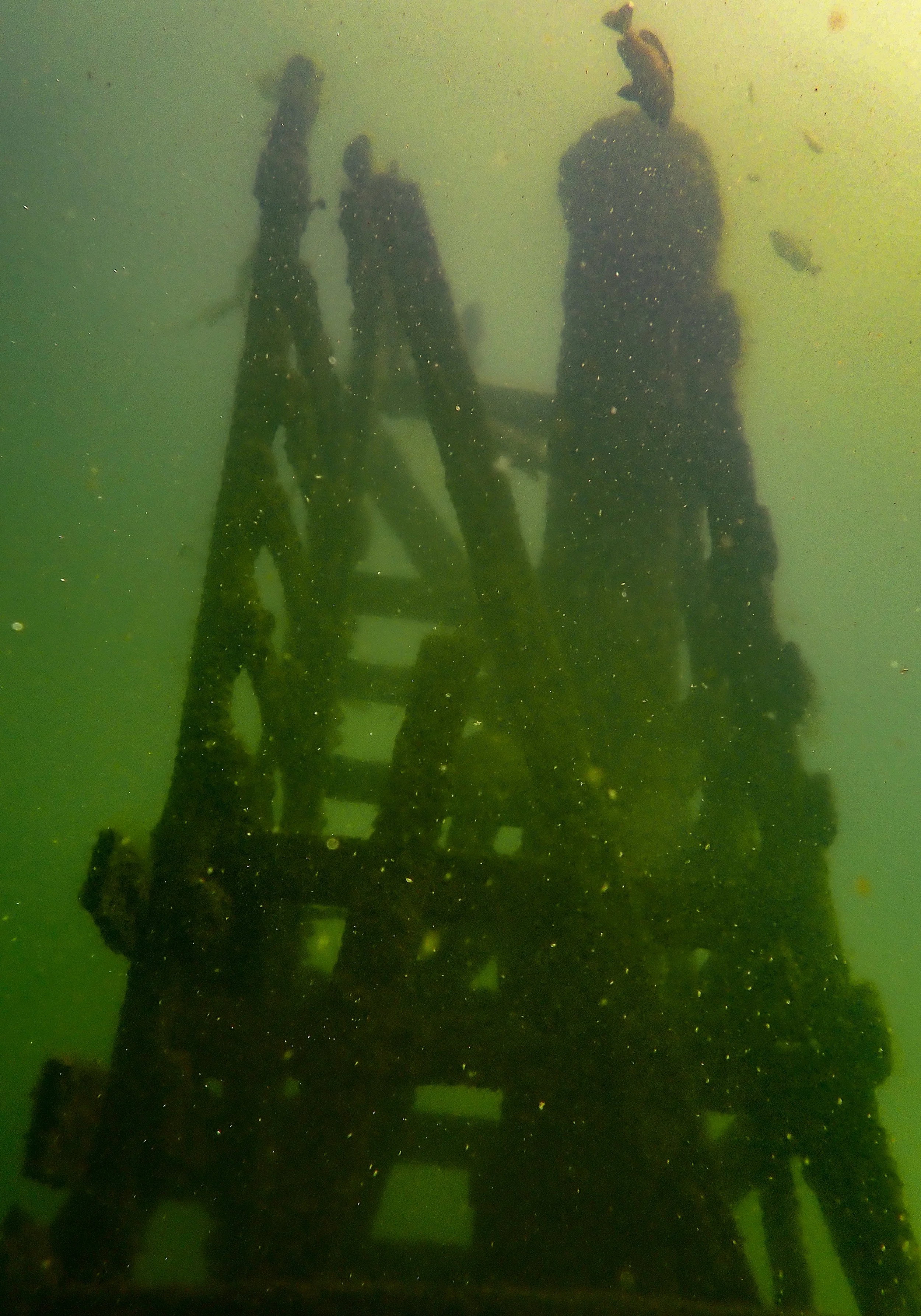 Lake Okoboji-7.jpg