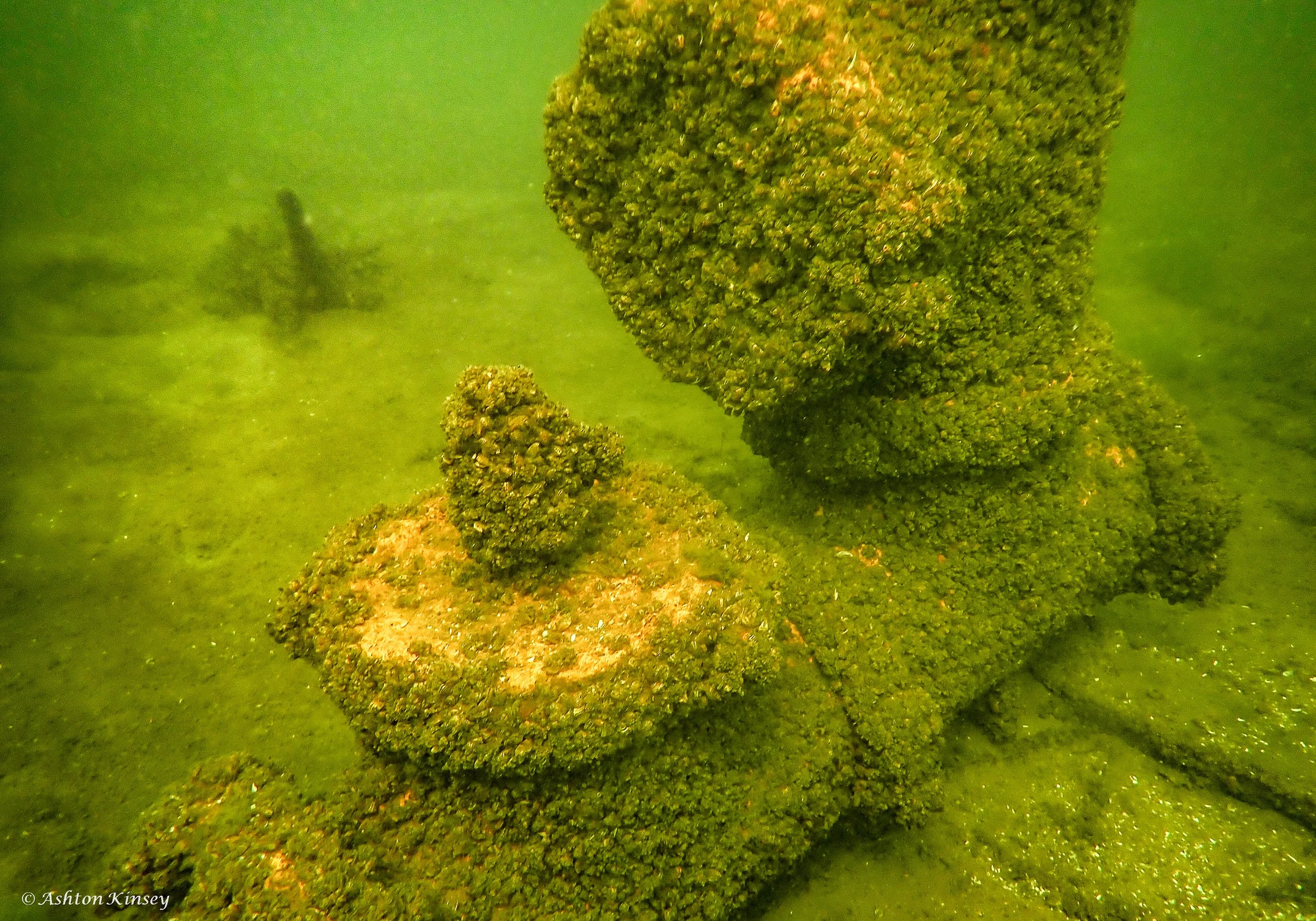 Lake Okoboji-12.jpg