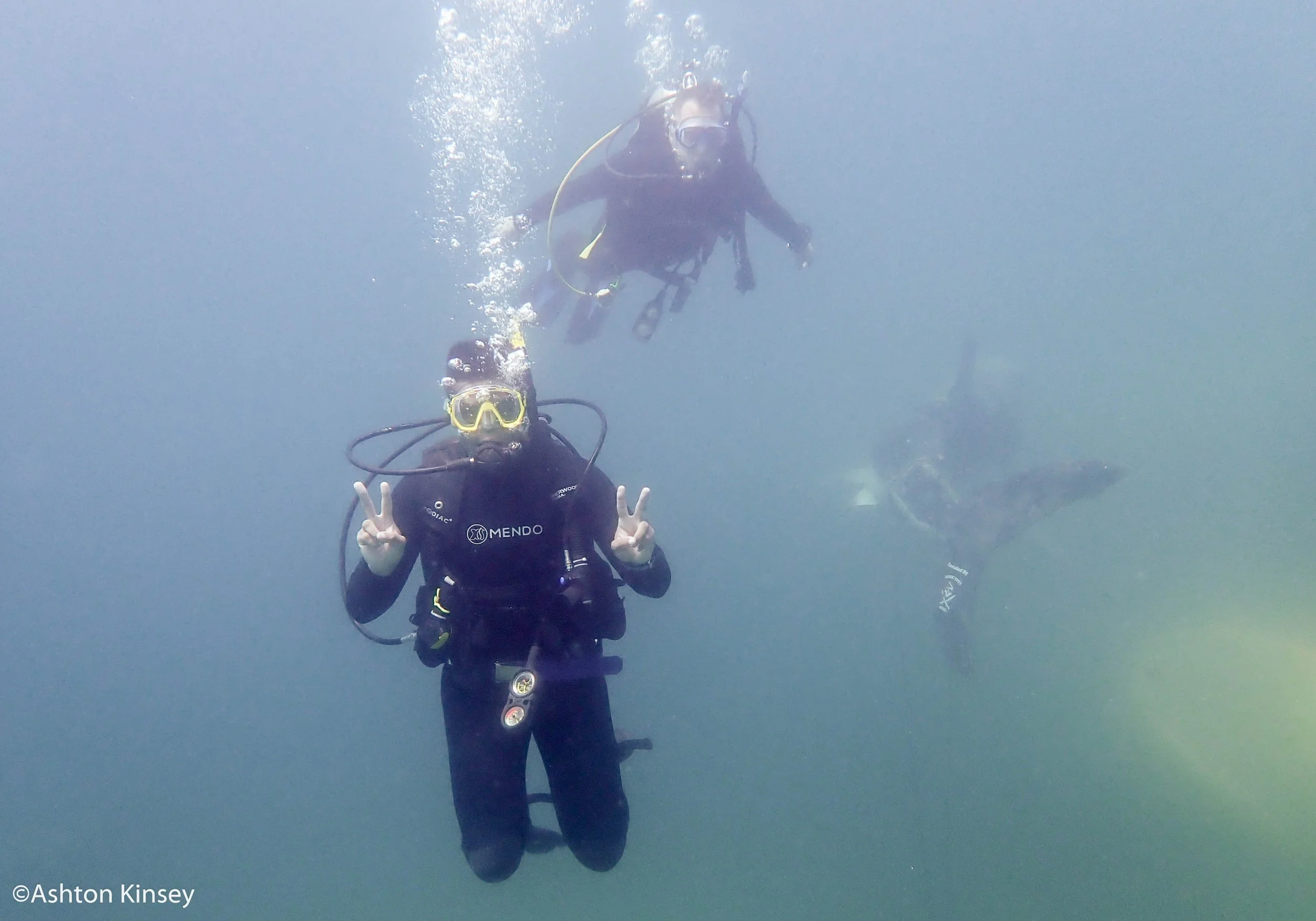 PRDC-D1-9.jpg