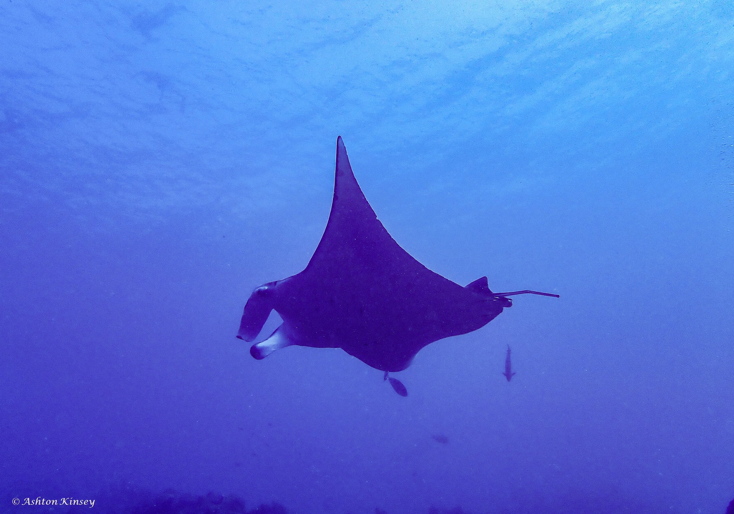 Maldives-1.jpg