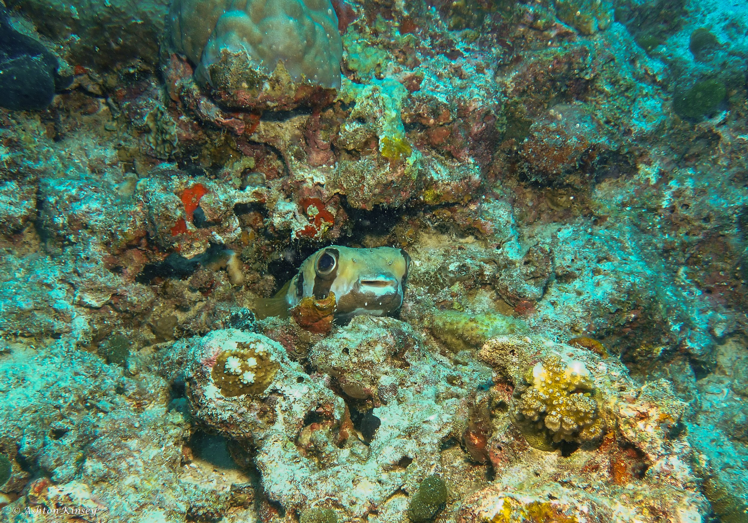 Maldives-16.jpg