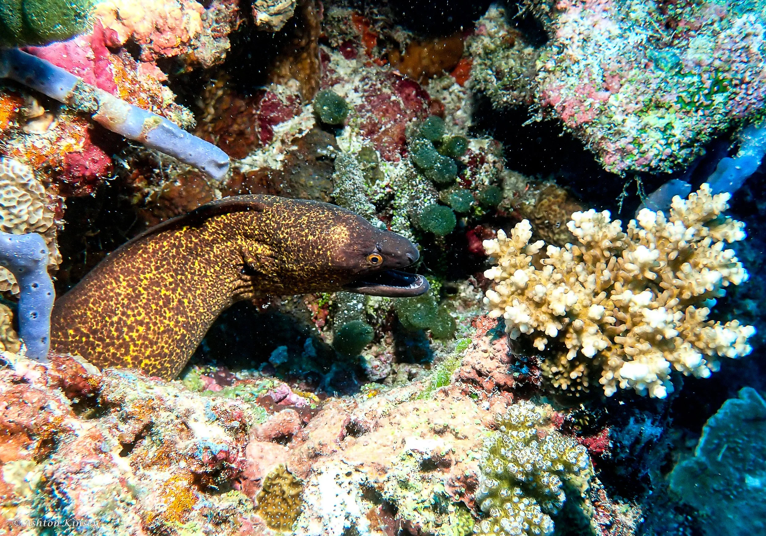 Maldives-18.jpg