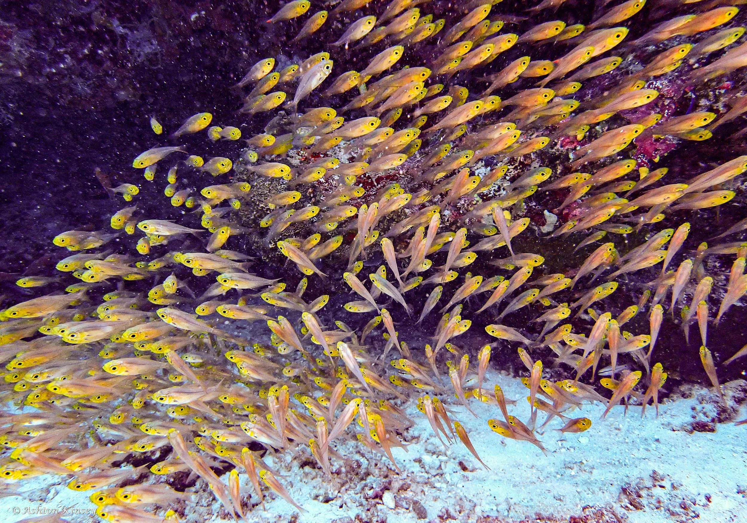 Maldives-21.jpg