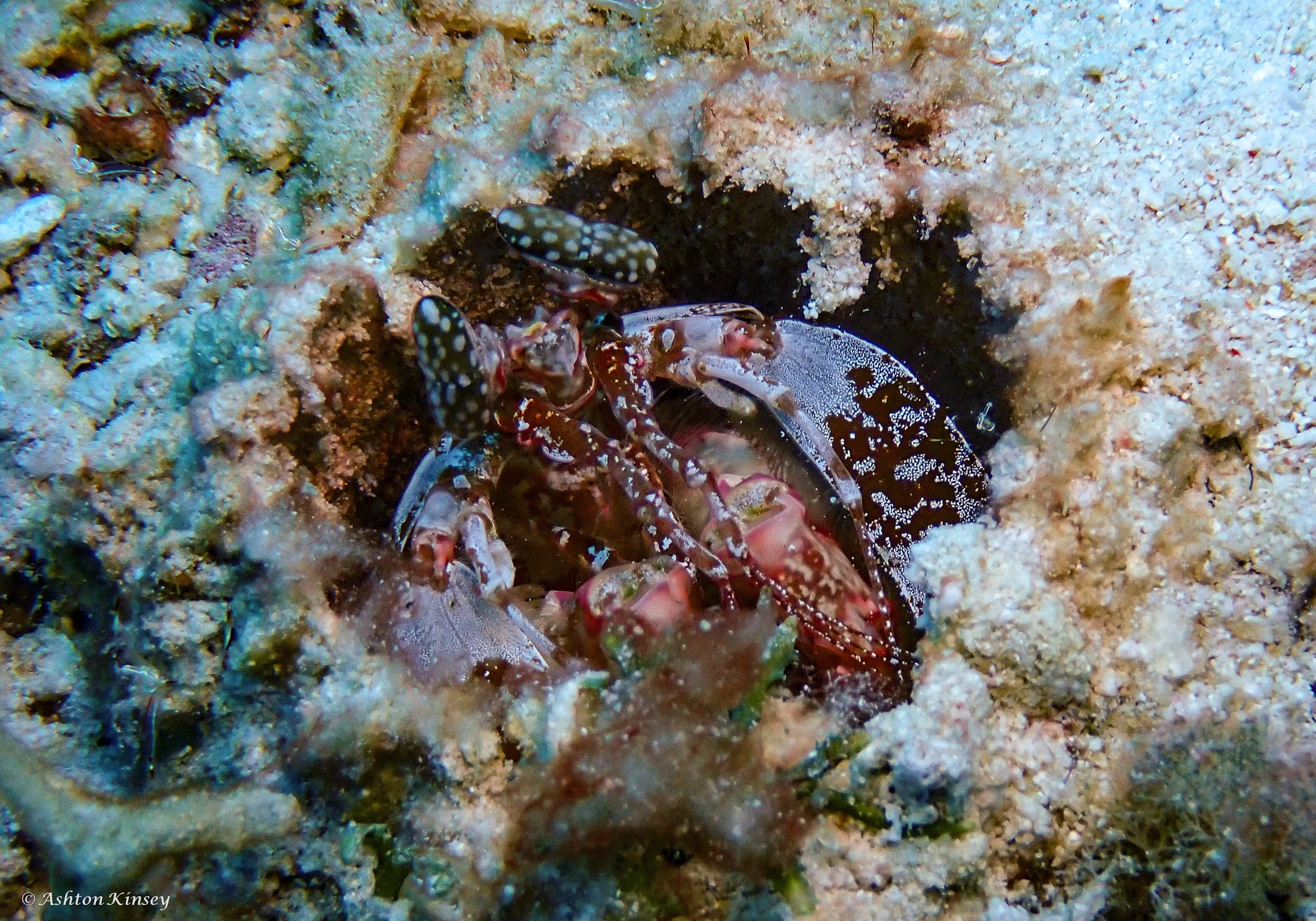 Maldives-22.jpg