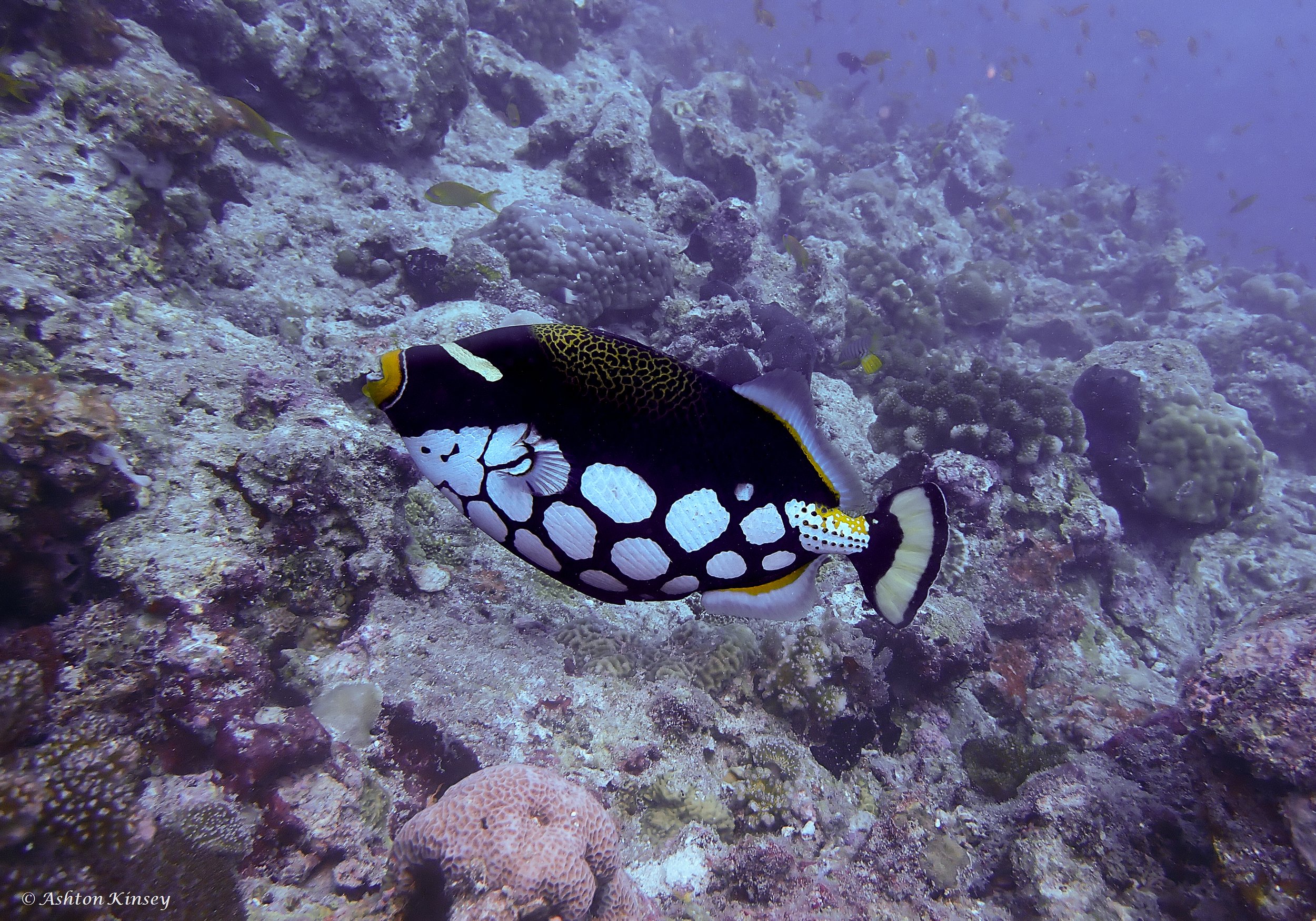Maldives-24.jpg