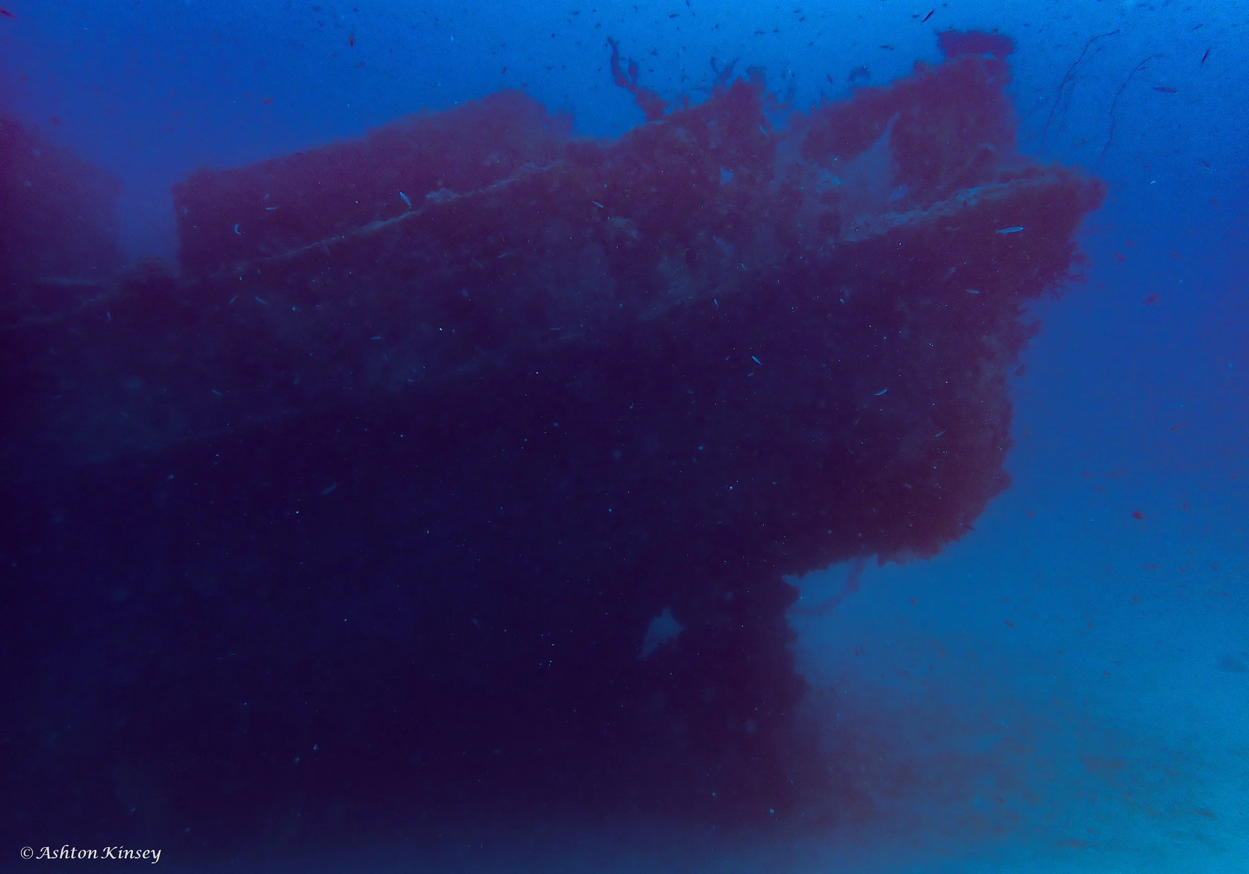 Wreck-1.jpg