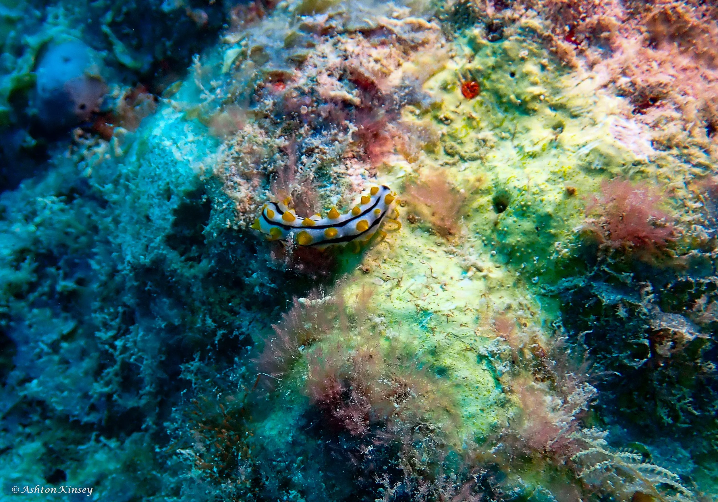 Wreck-4.jpg