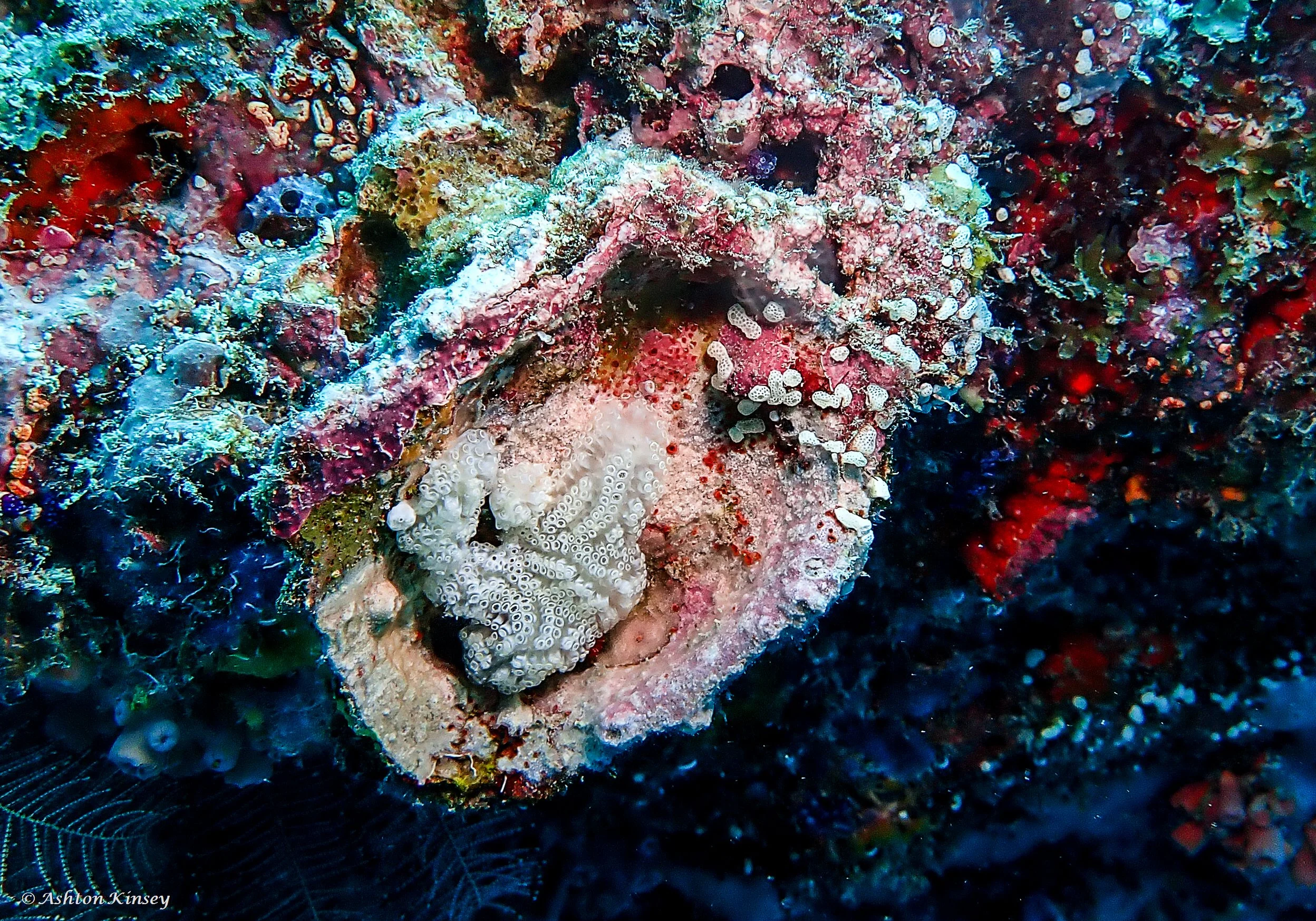 Wreck-14.jpg
