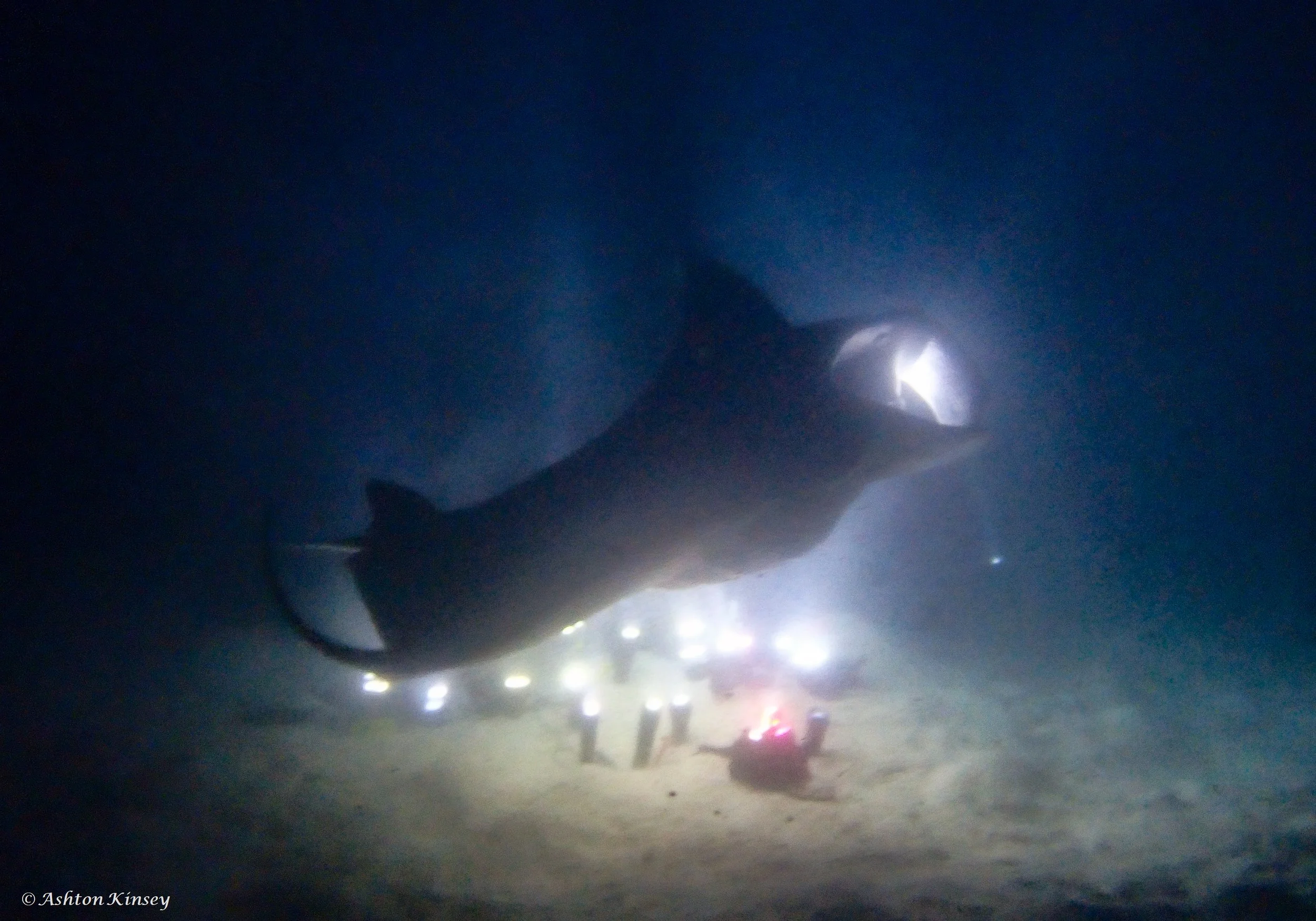 Wreck-19.jpg