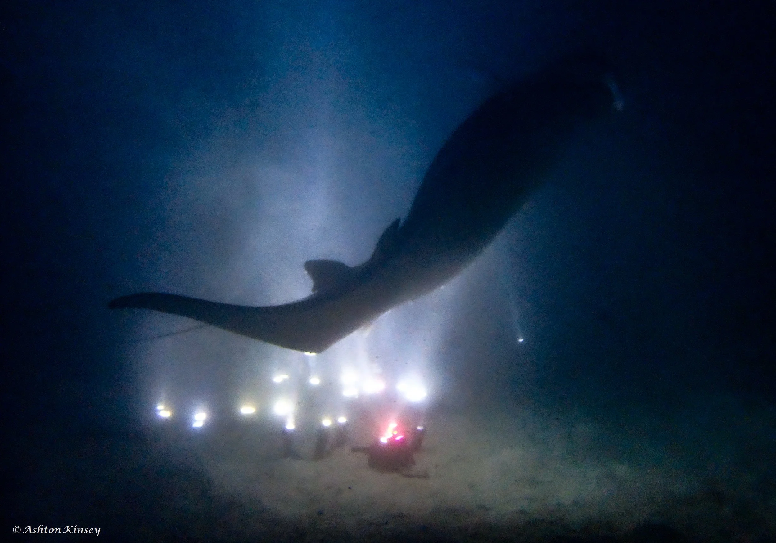 Wreck-18.jpg