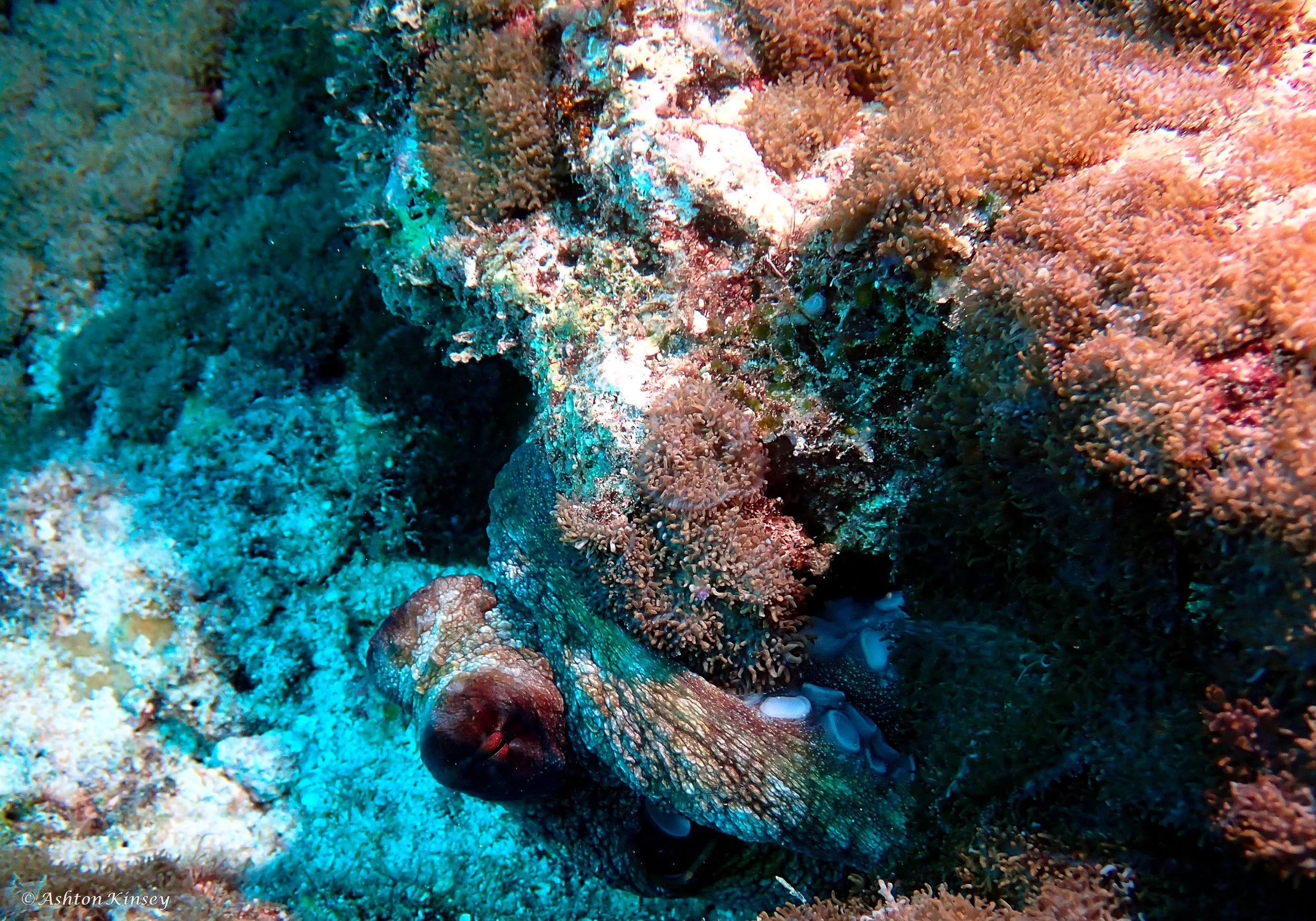 Wreck-21.jpg
